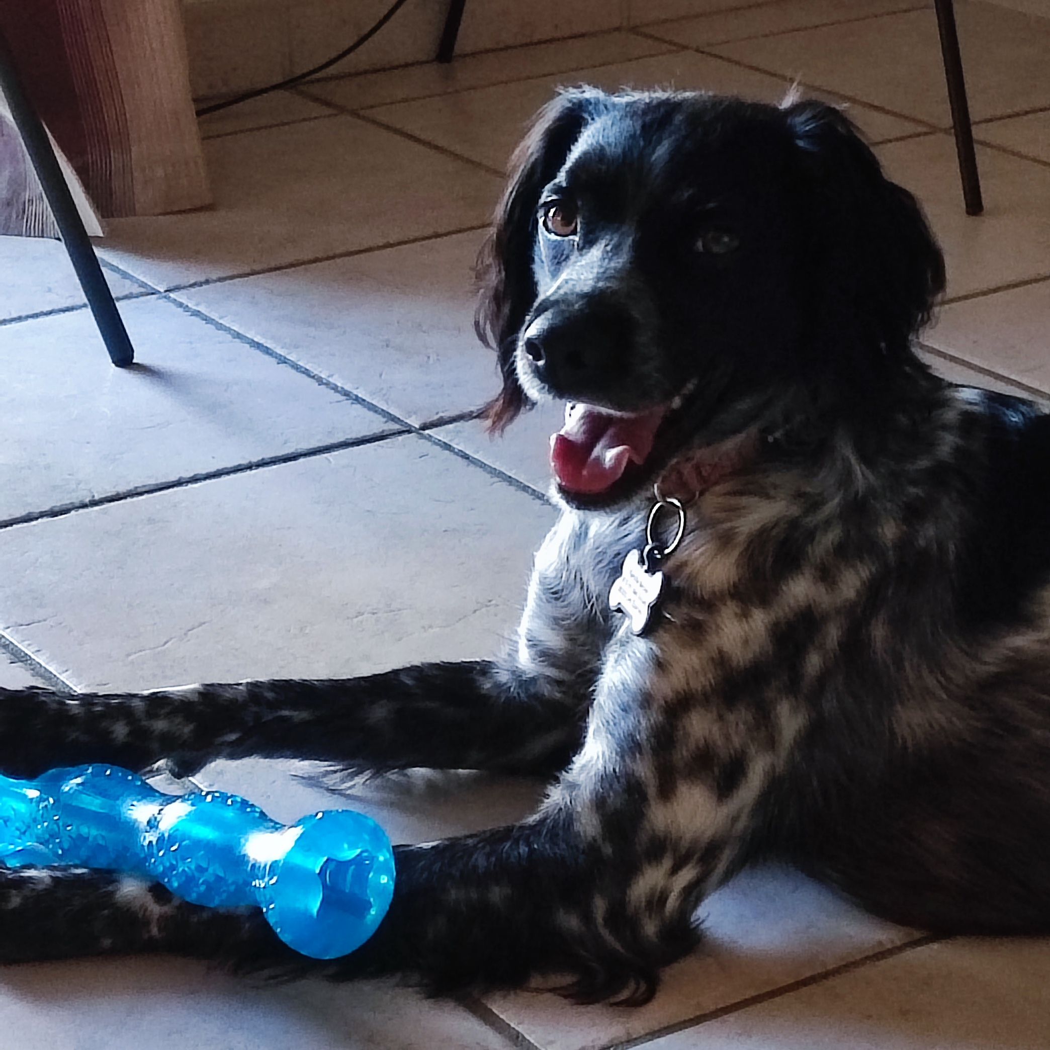 Roxie