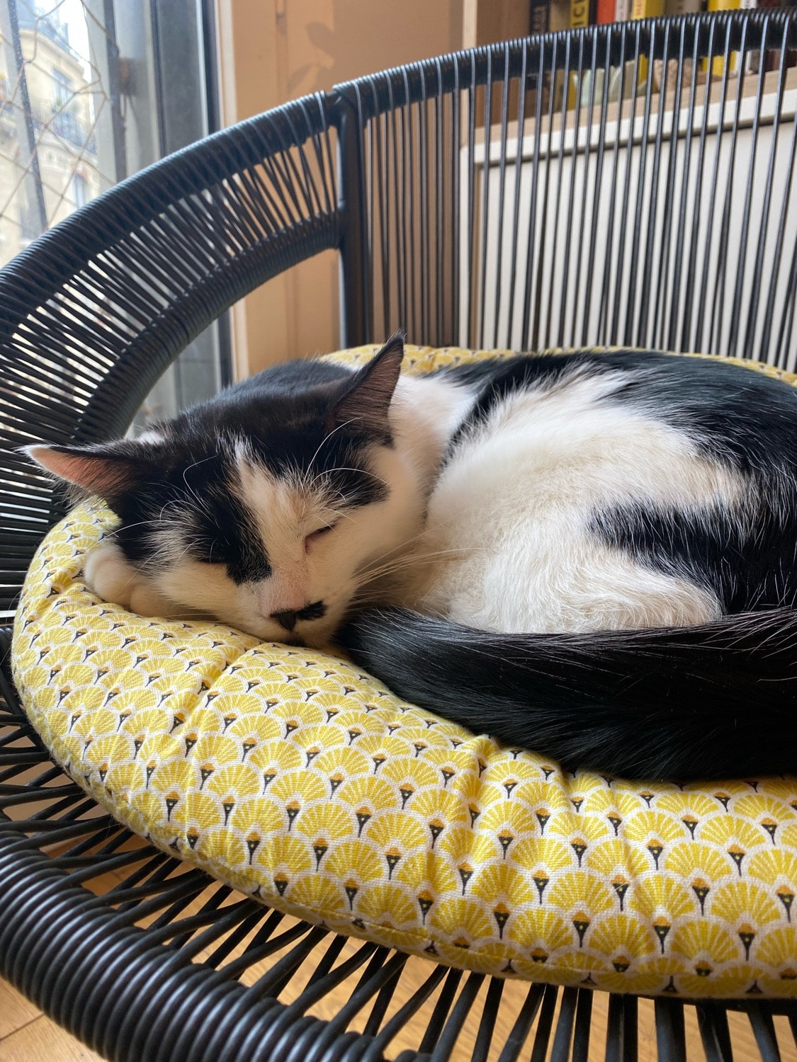 Figaro