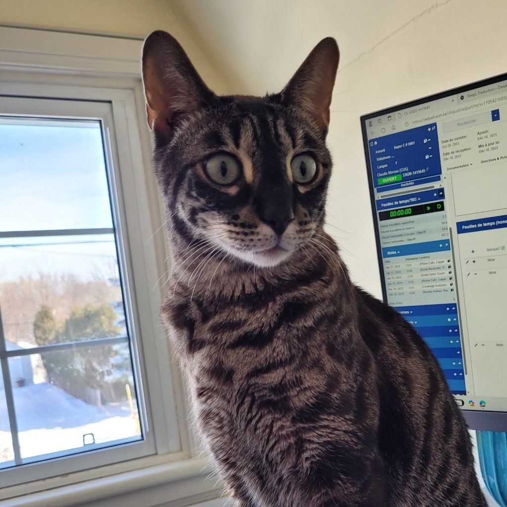 Sam