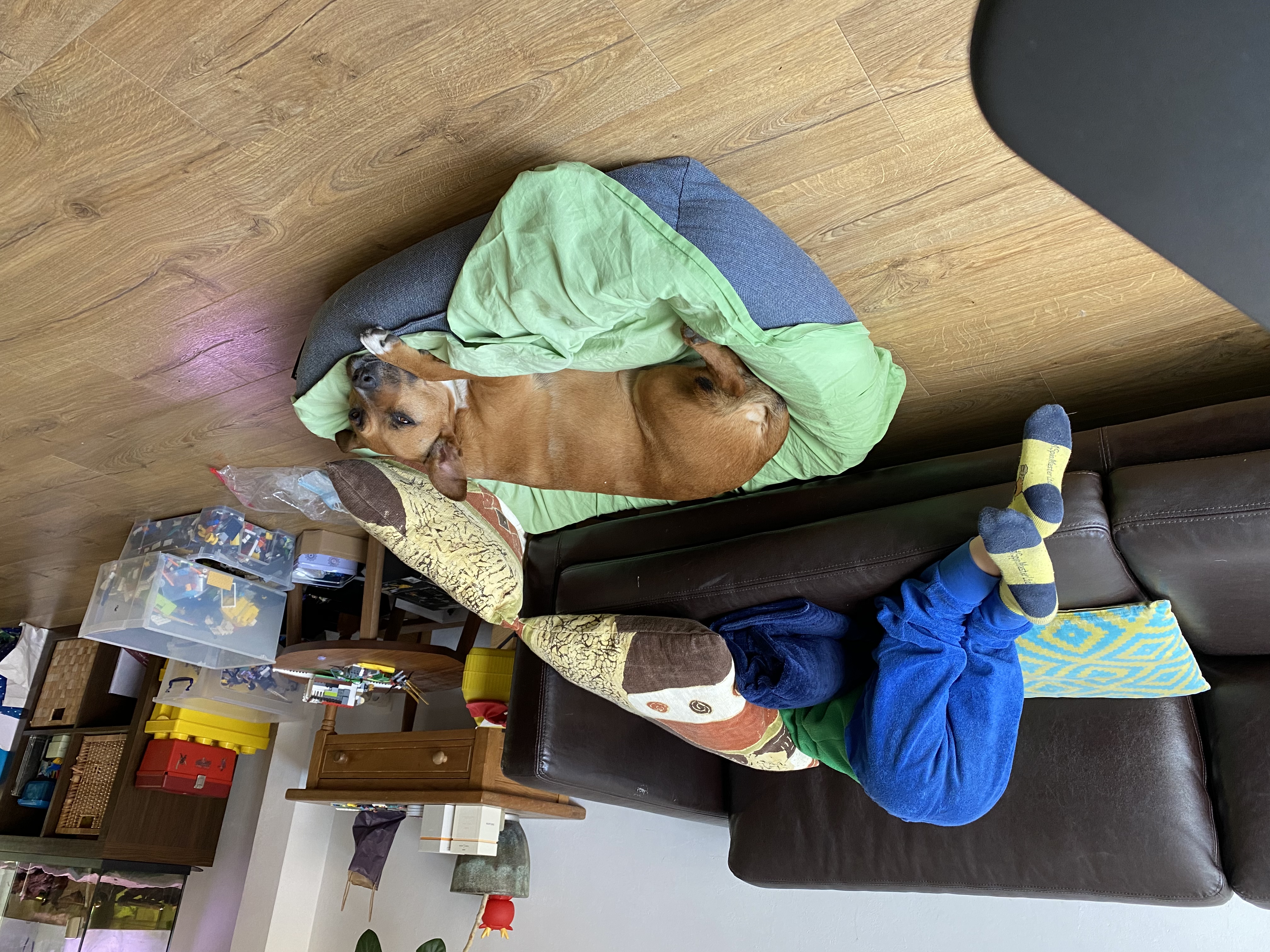 image-13