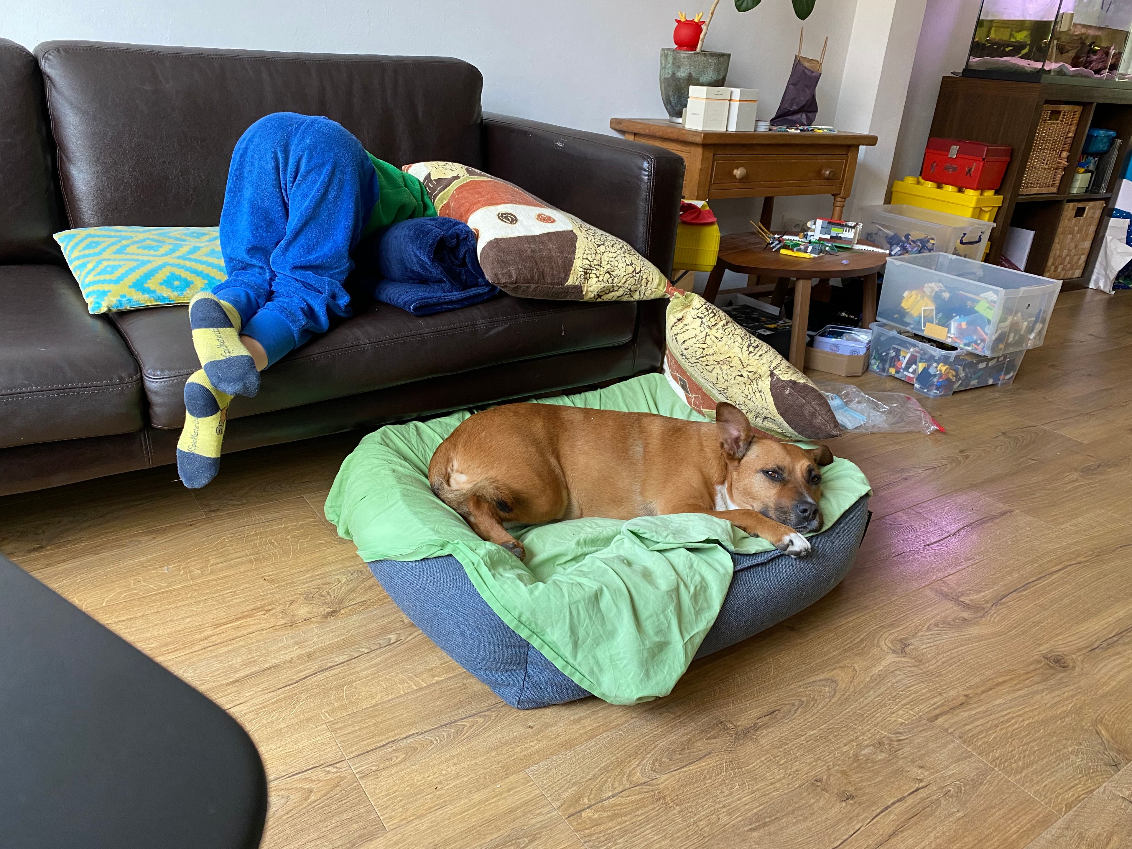 image-13