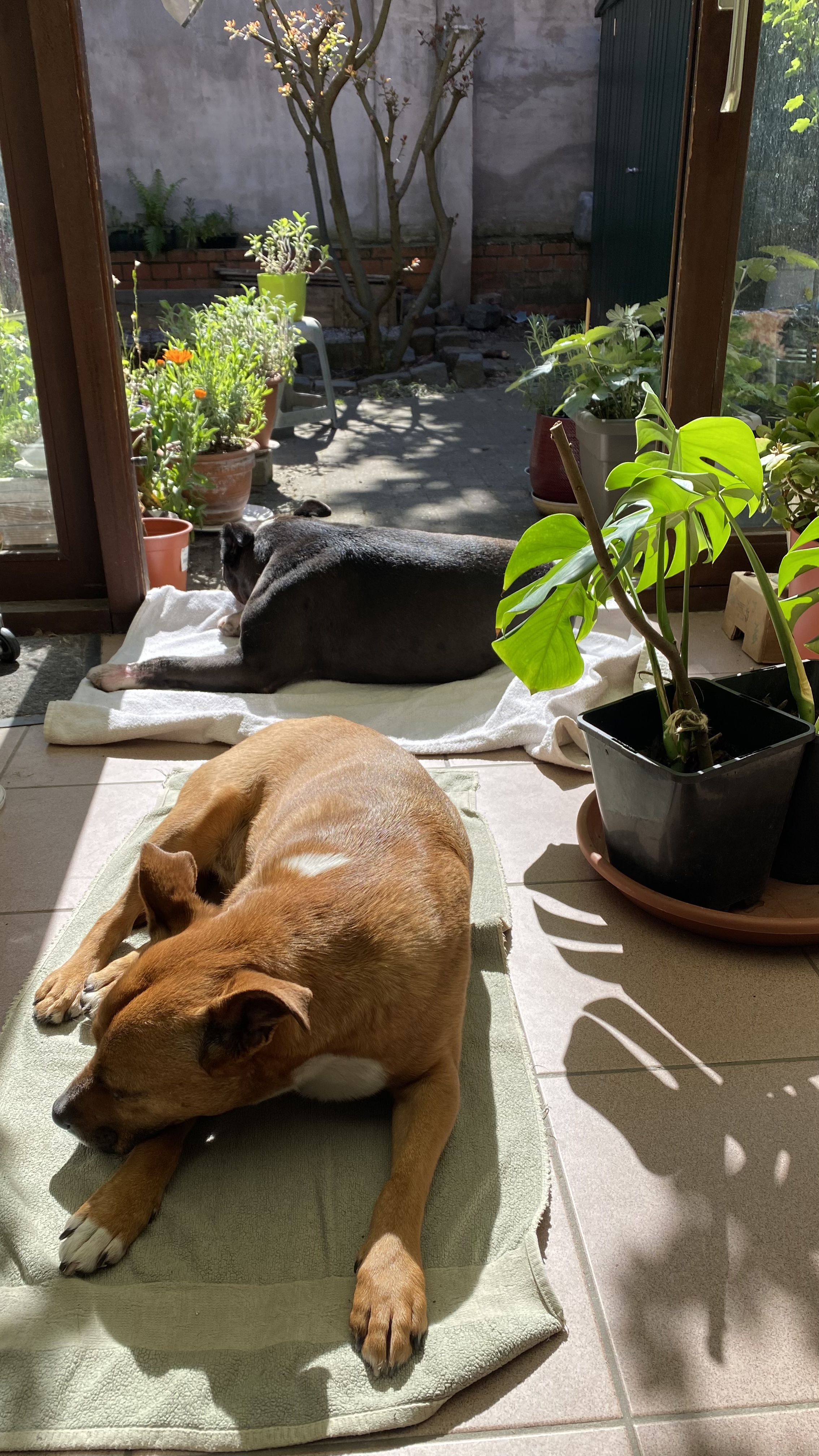 image-6