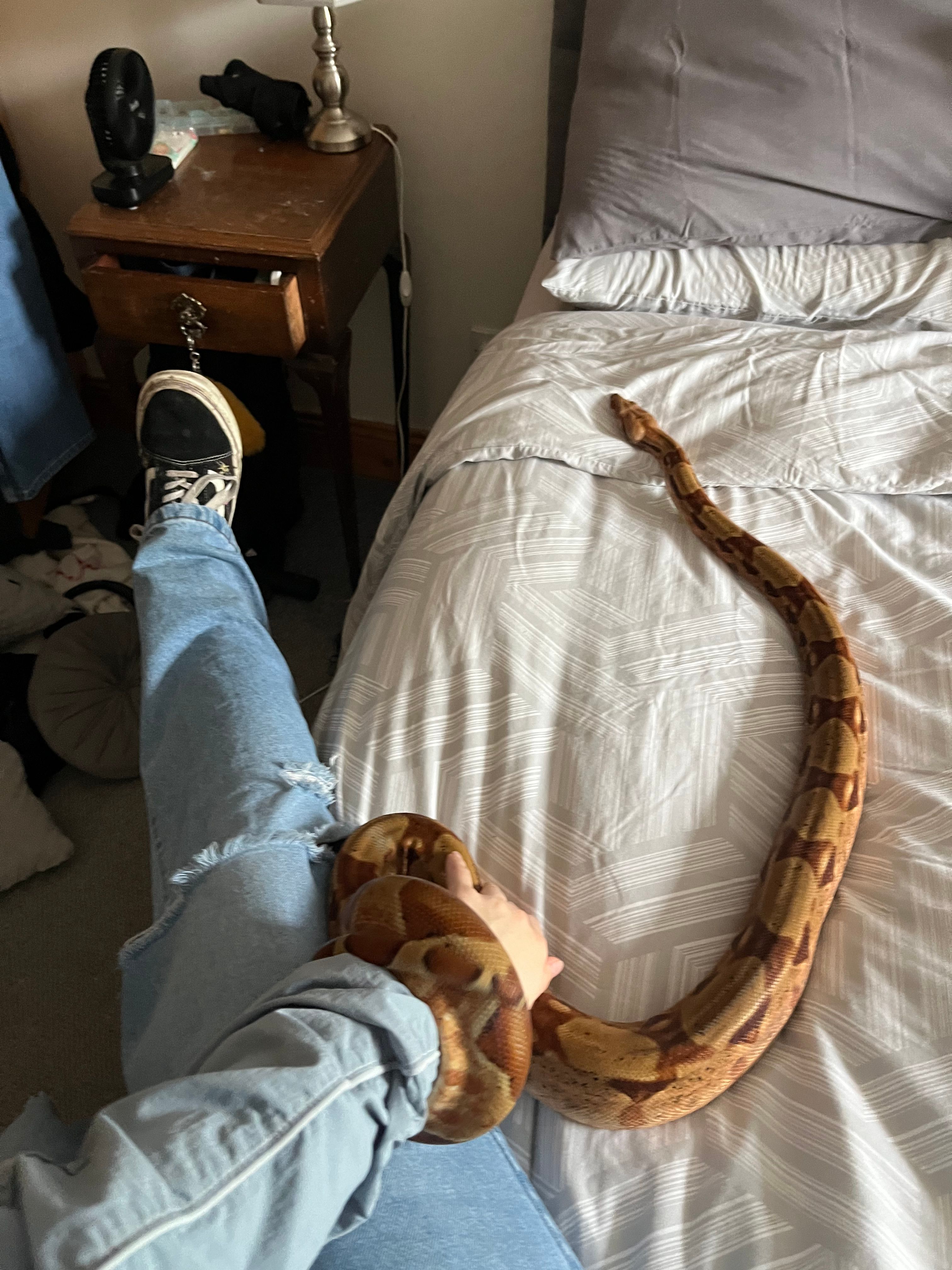 image-9