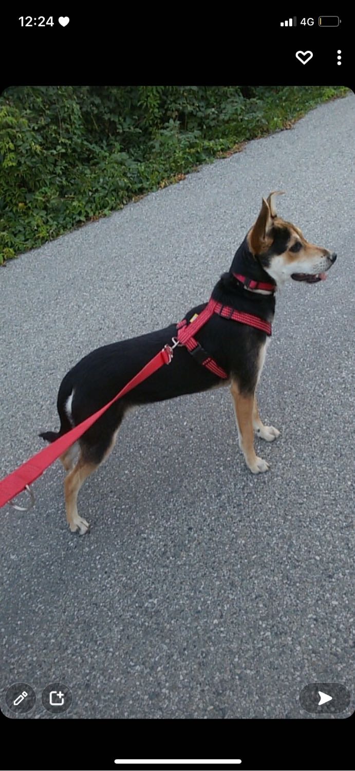 image-6