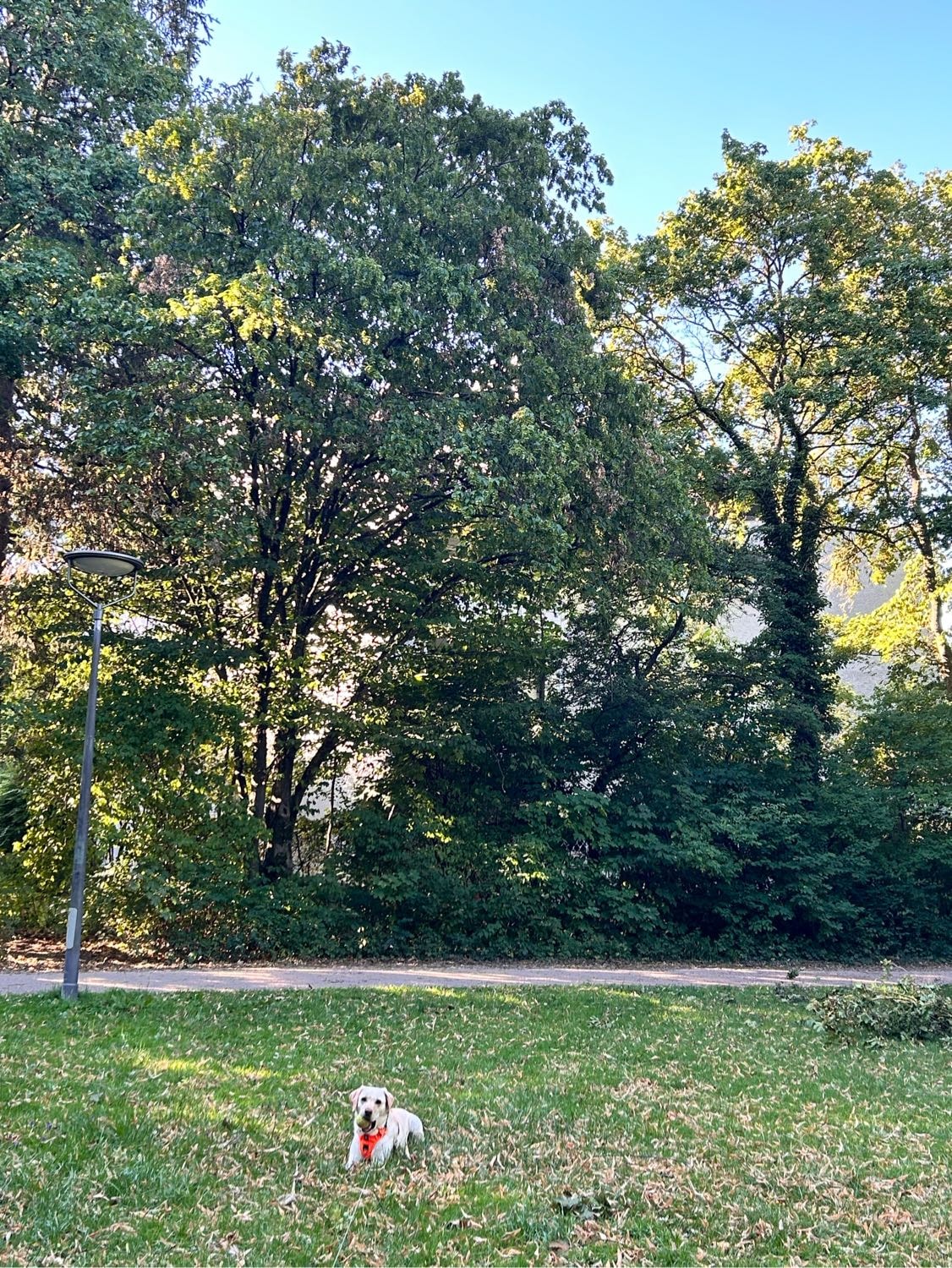 image-8