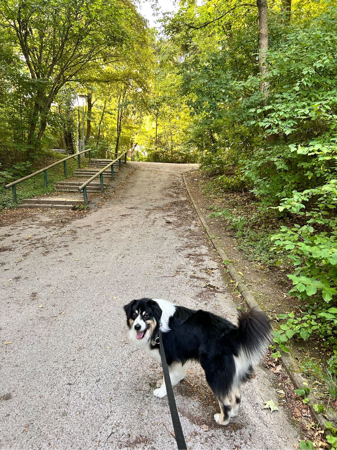 image-9