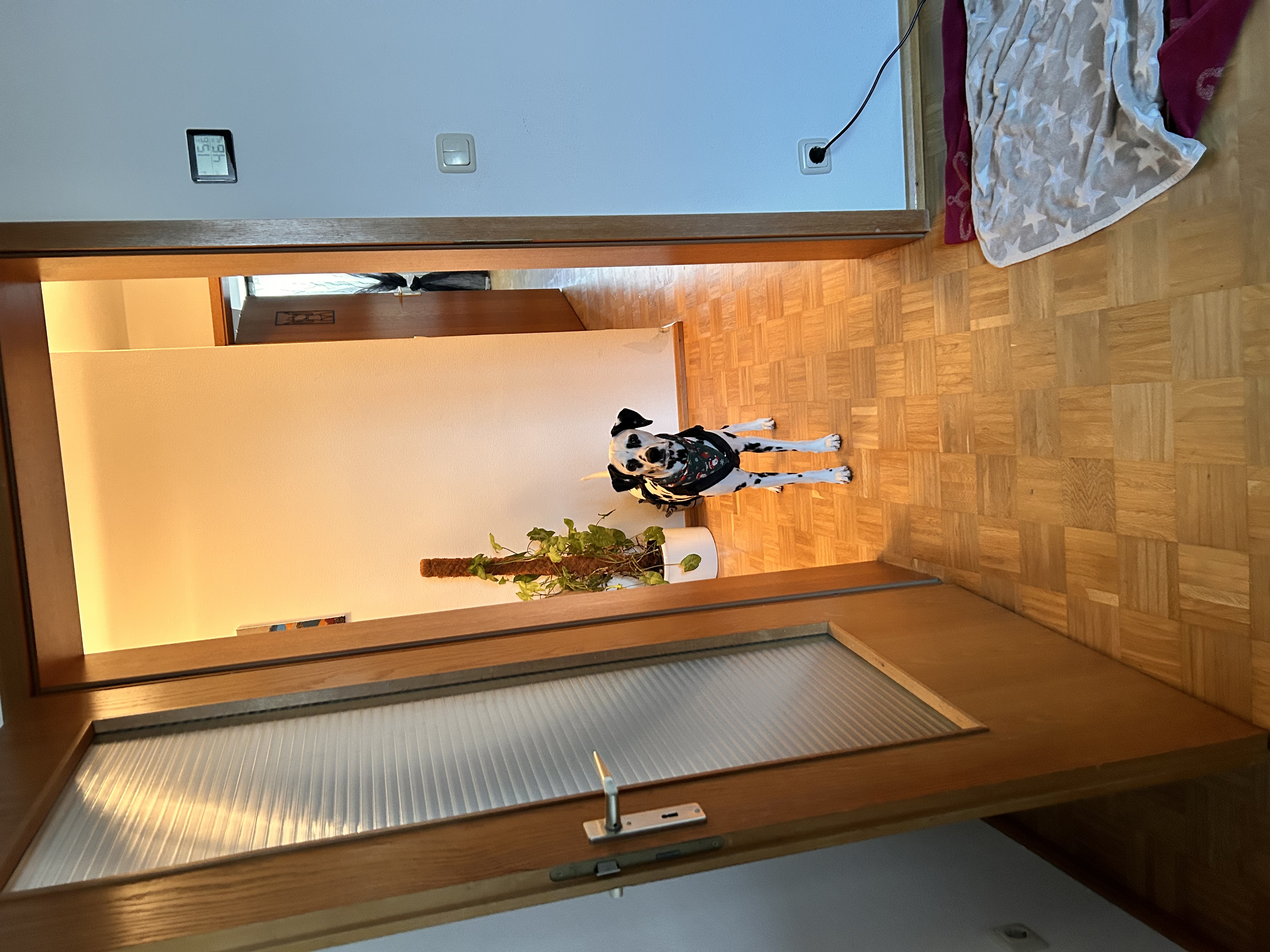 image-16