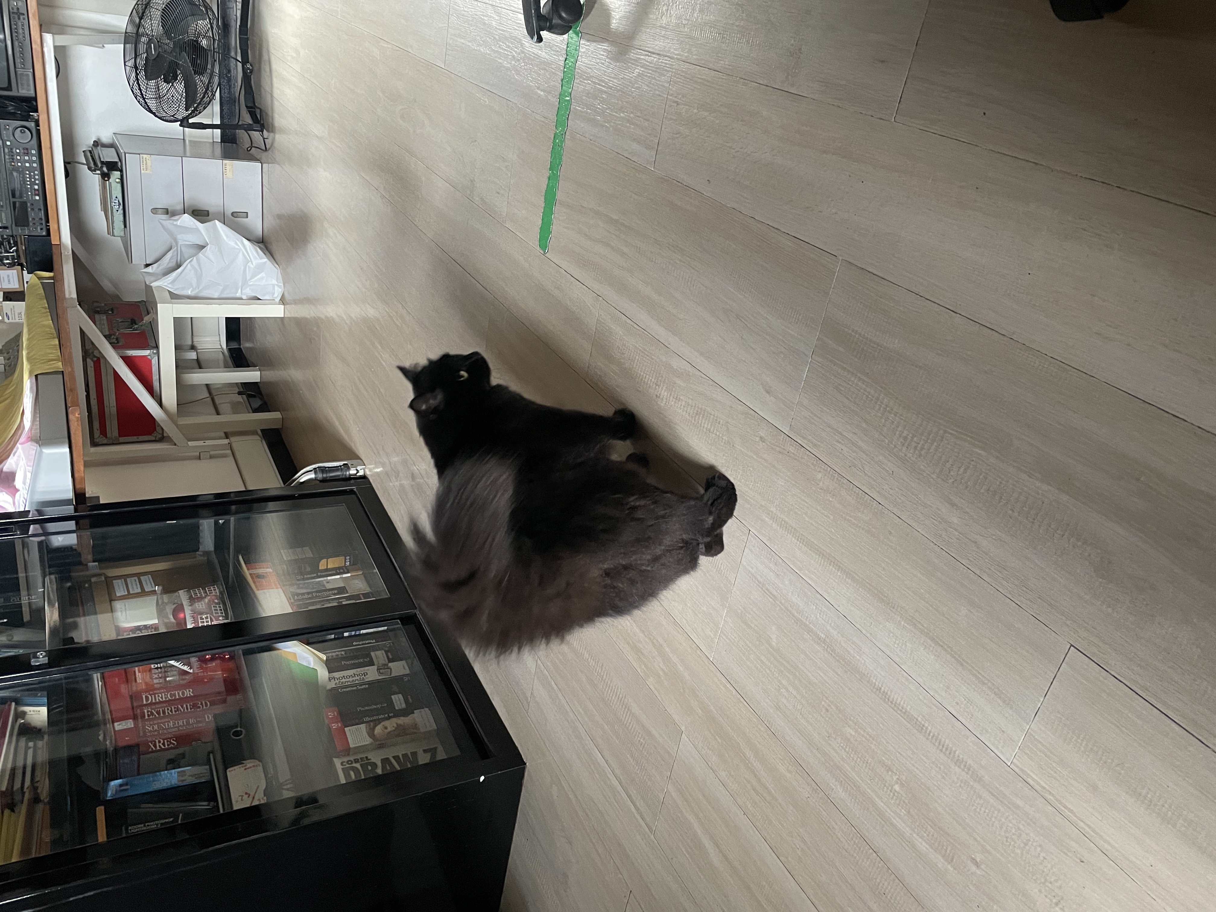 image-7