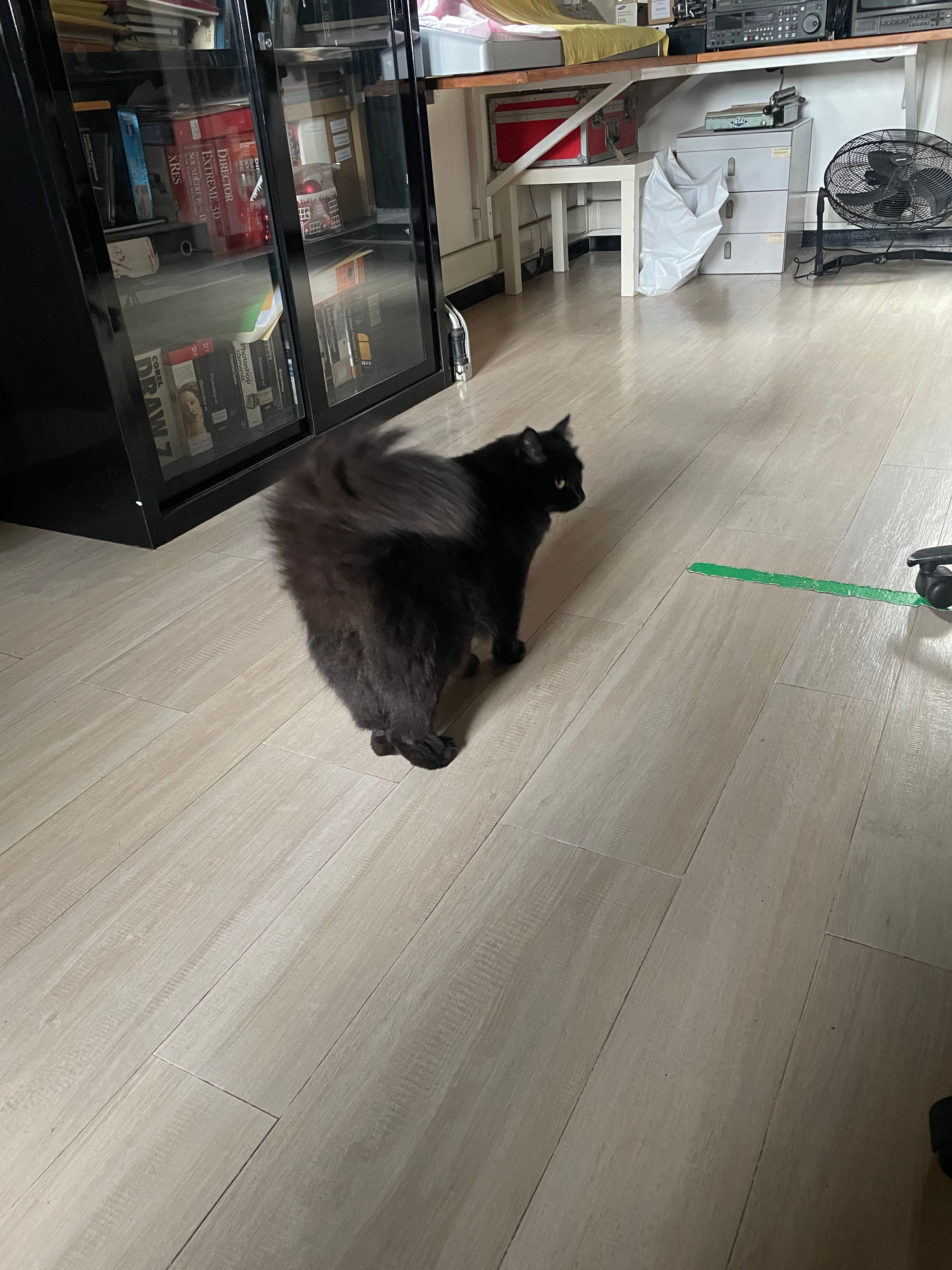 image-7