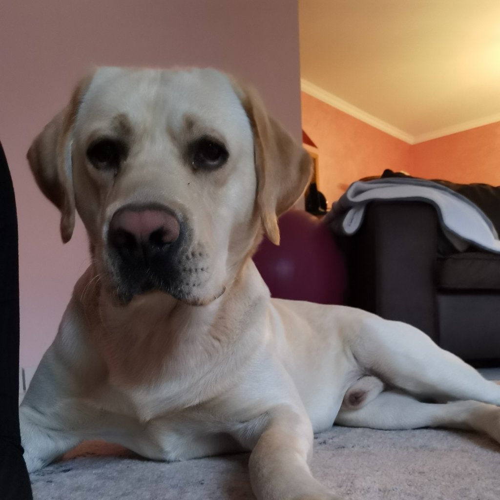 Ben