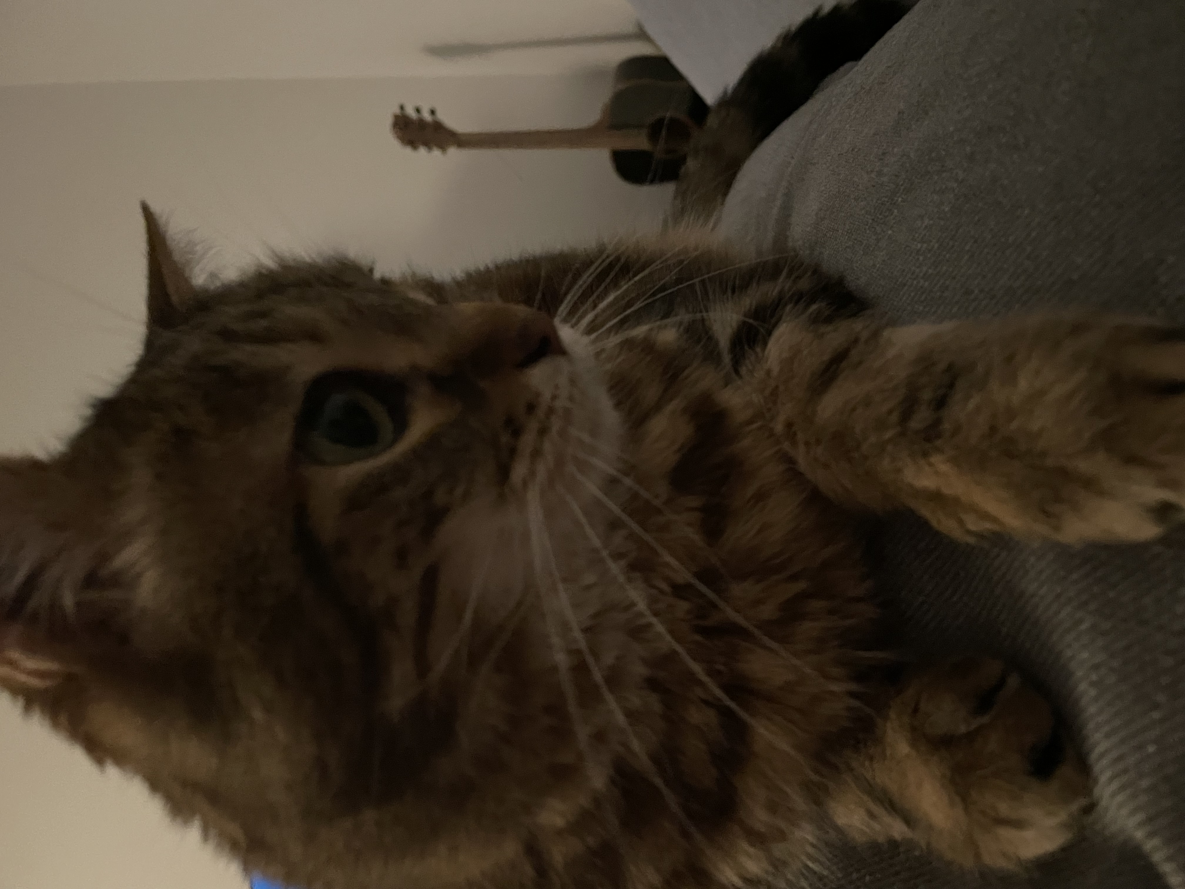 image-8