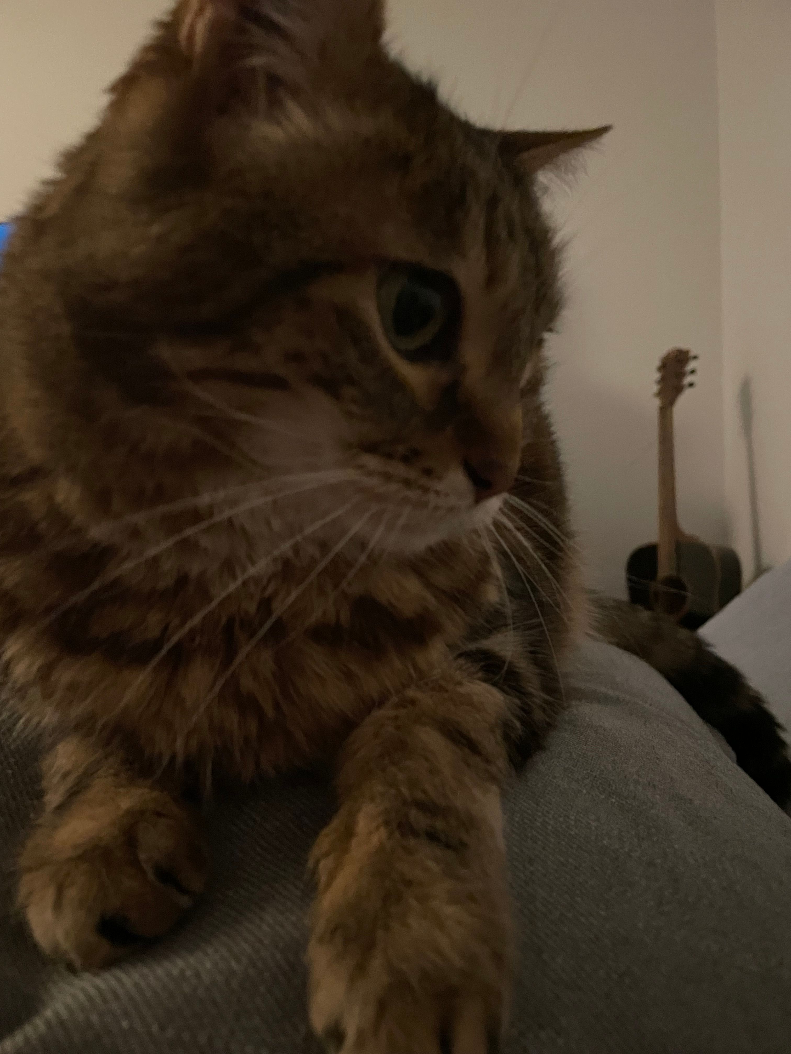 image-8