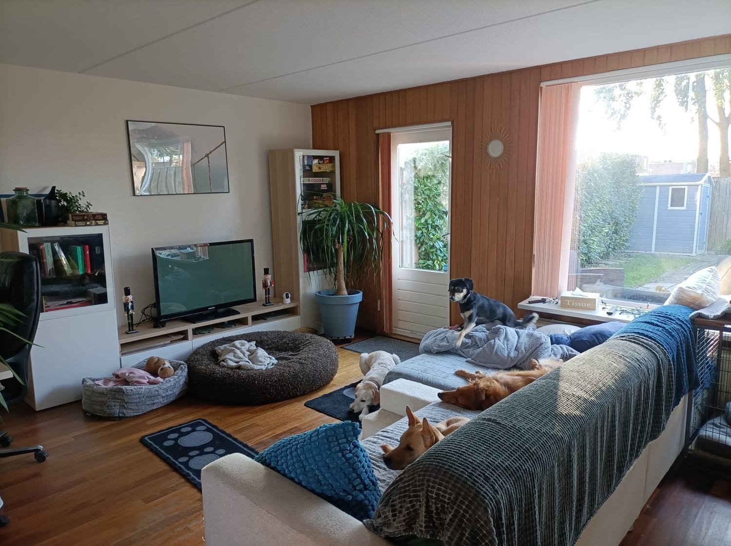 image-4