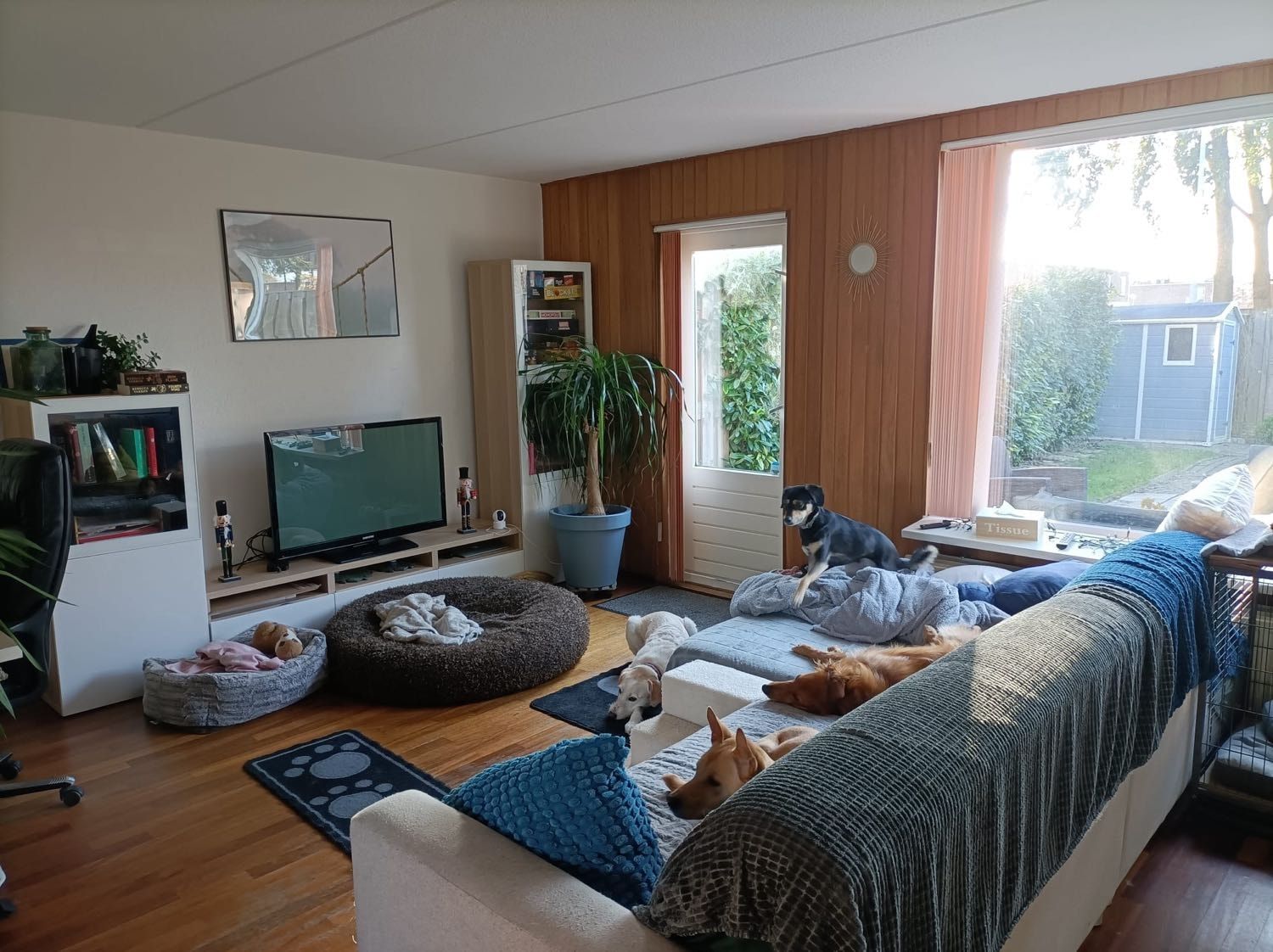 image-4