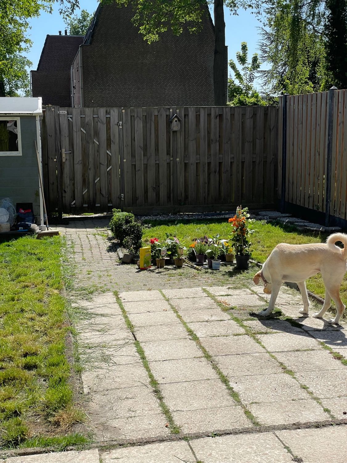 image-3
