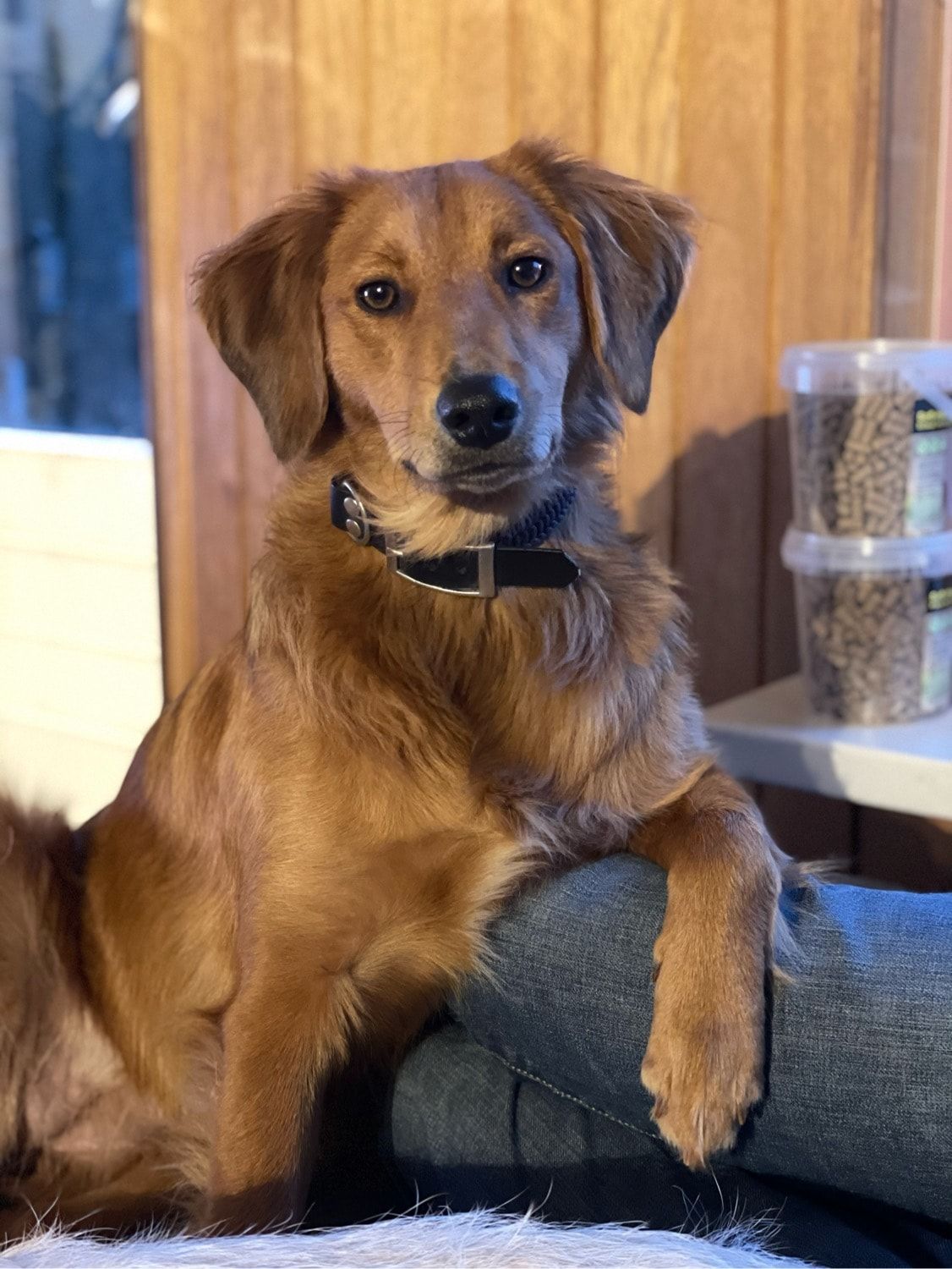 Lili