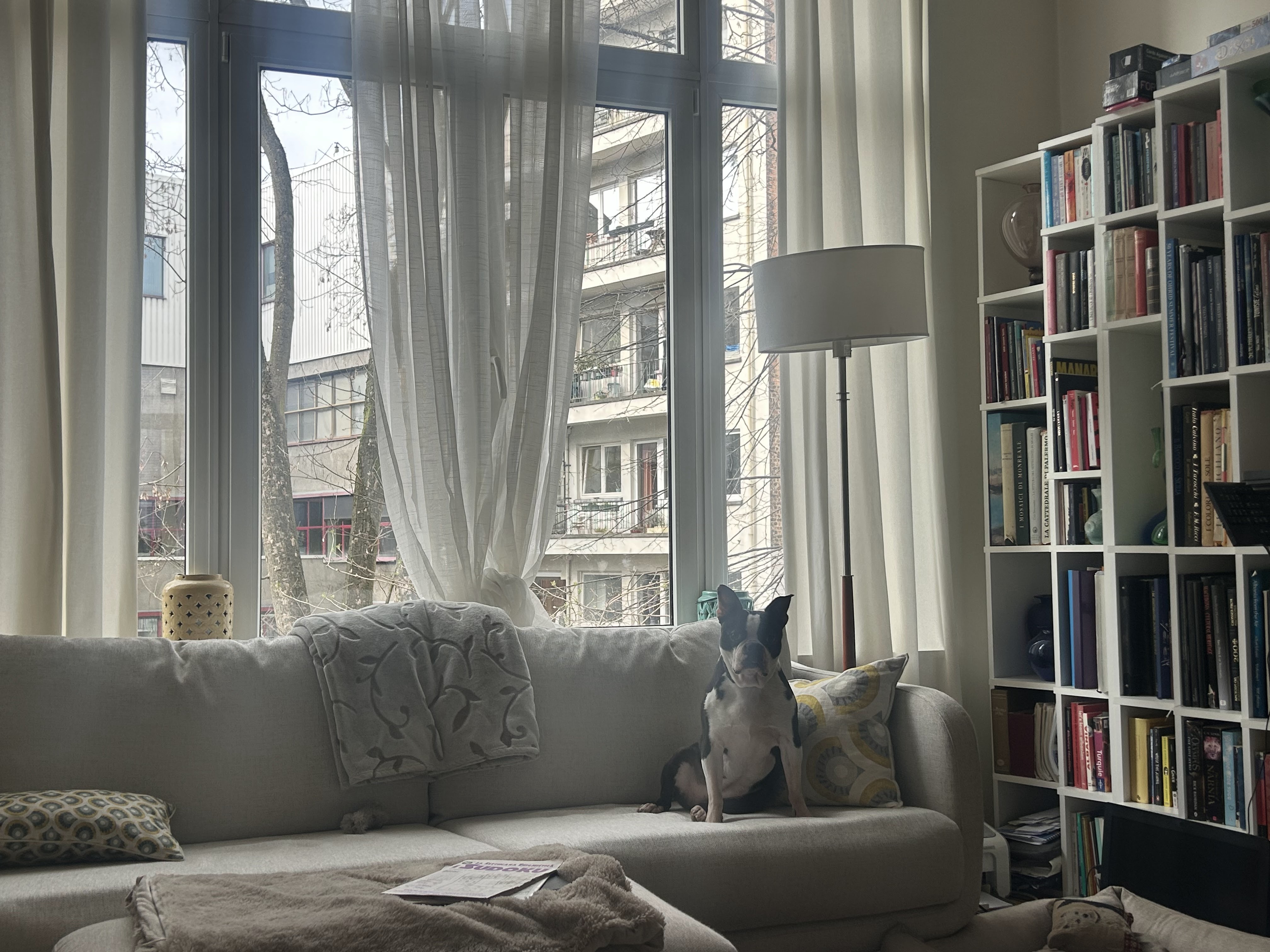 image-7