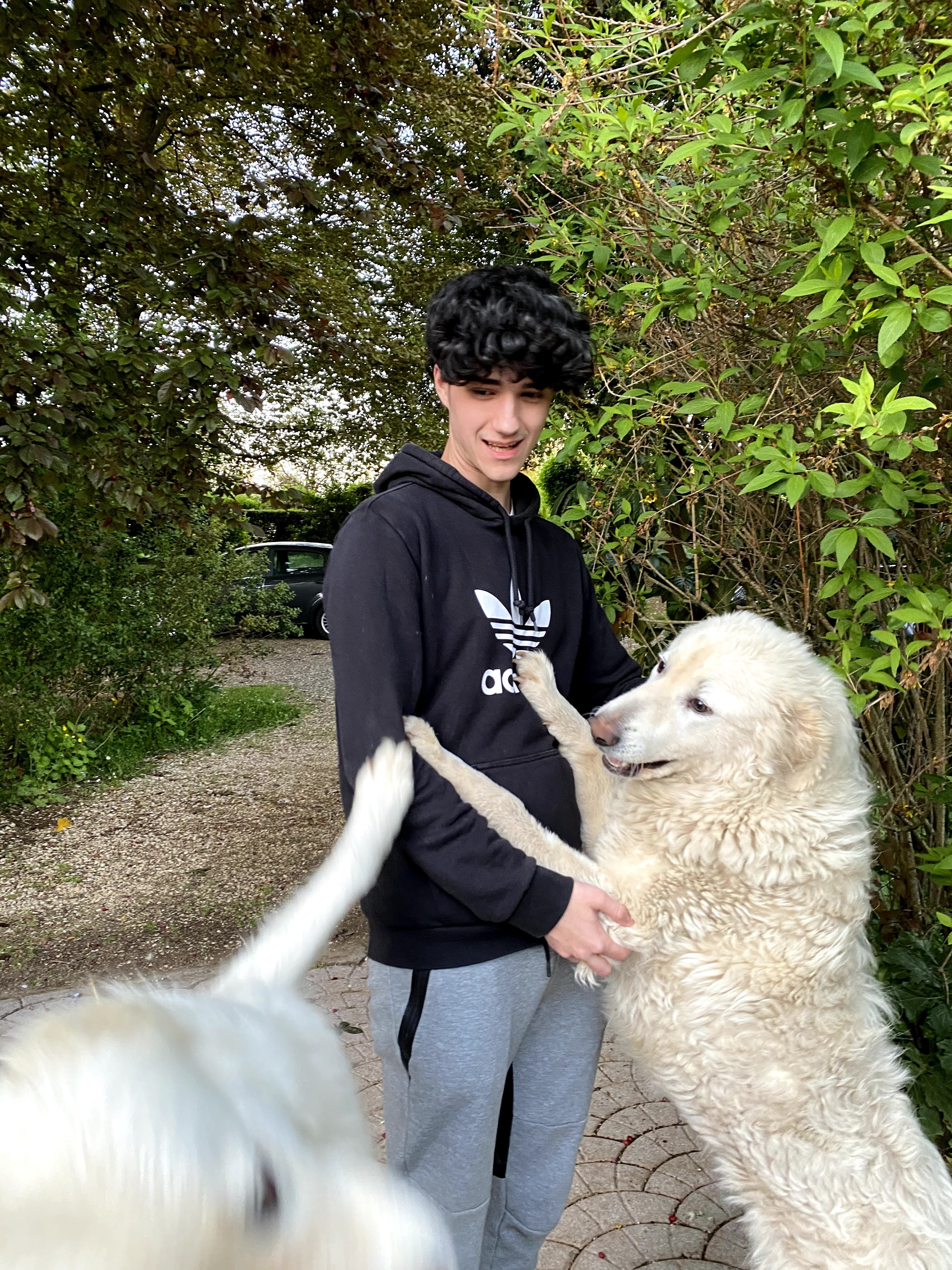 image-6
