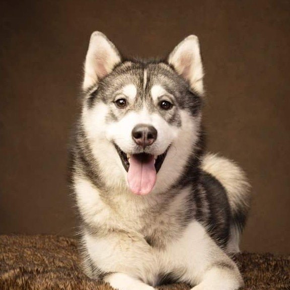 Sirius