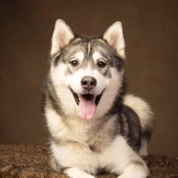 Sirius