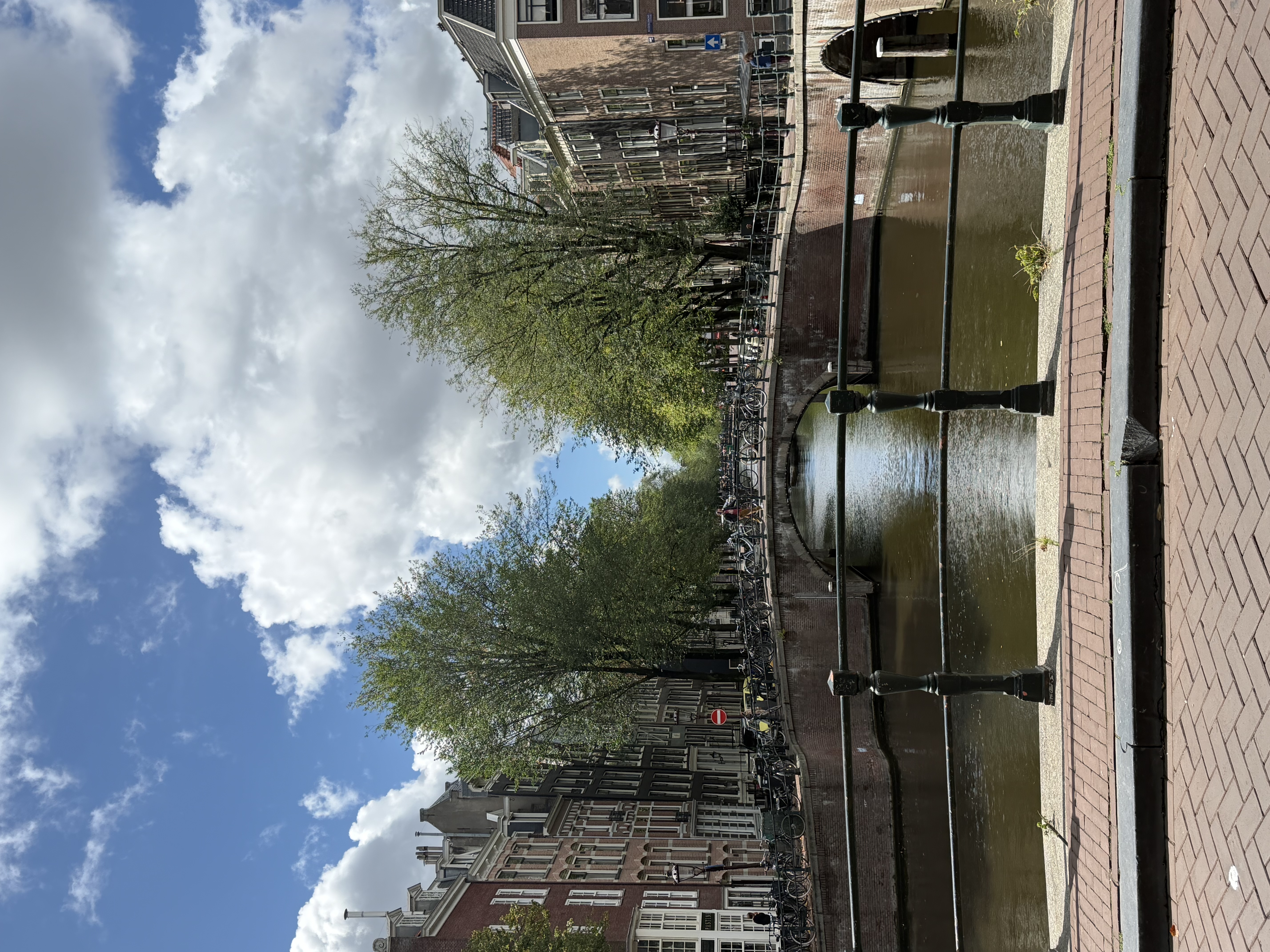 image-20