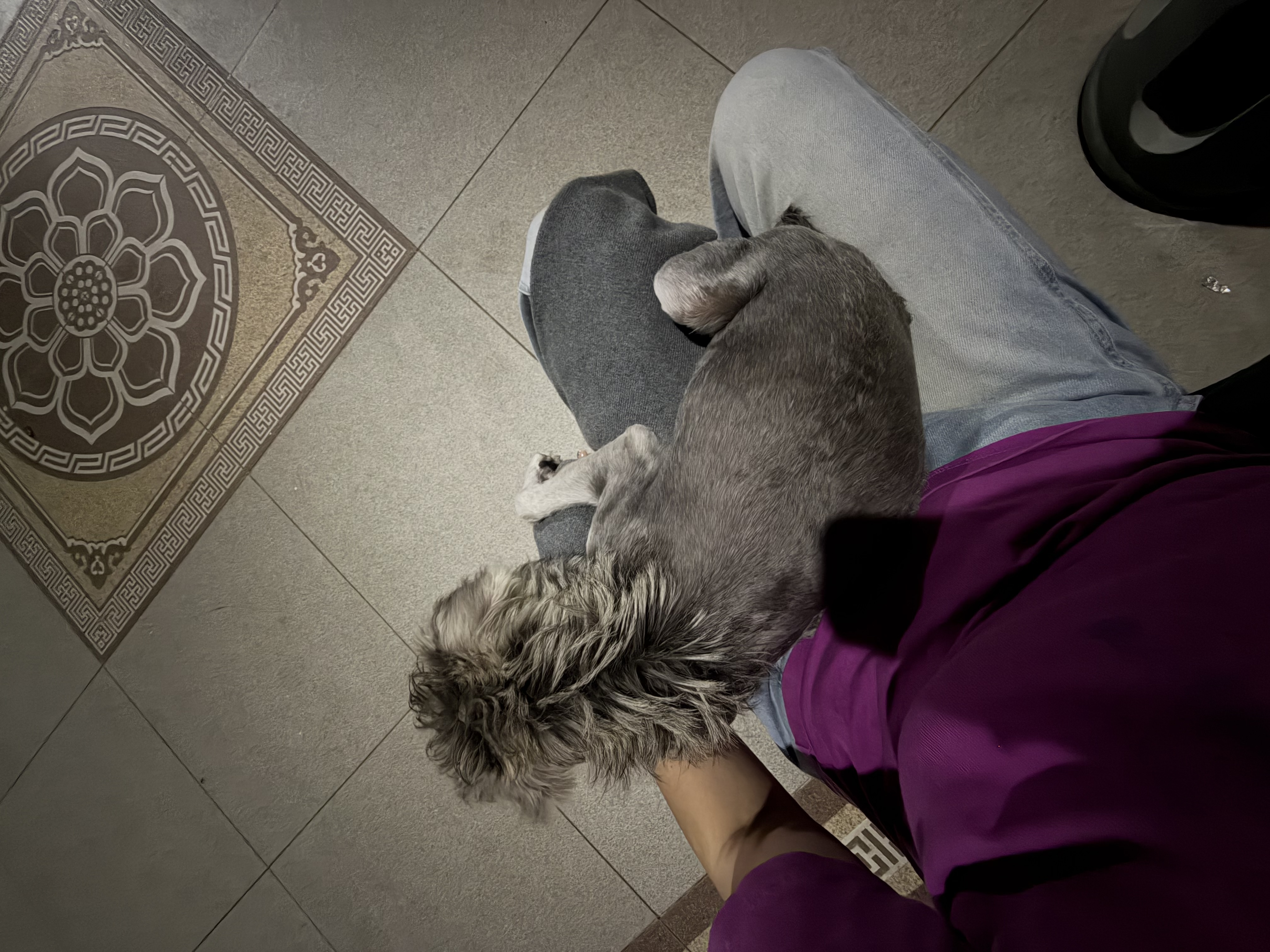 image-9