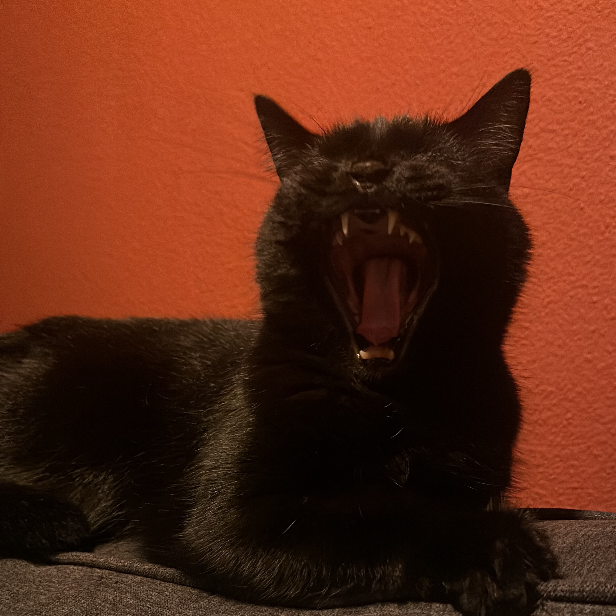 Ré