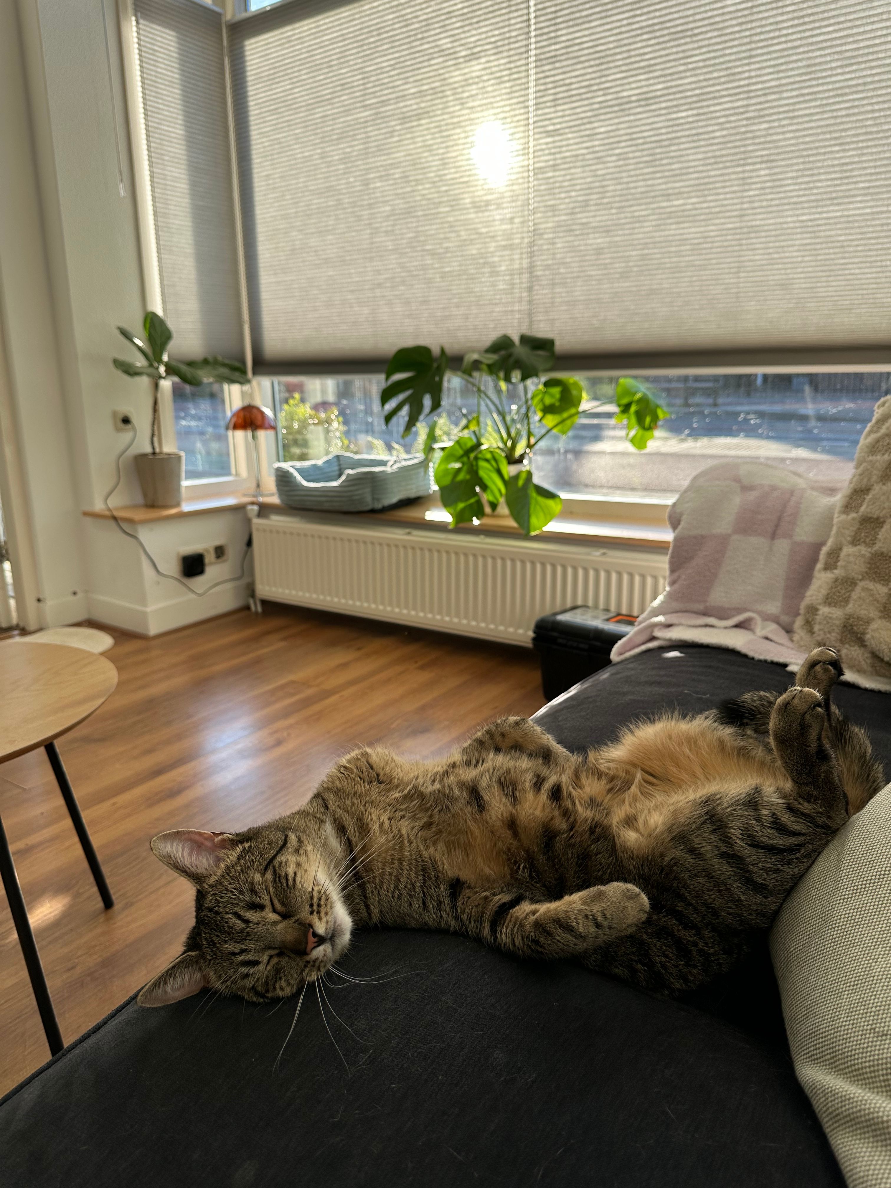 image-13