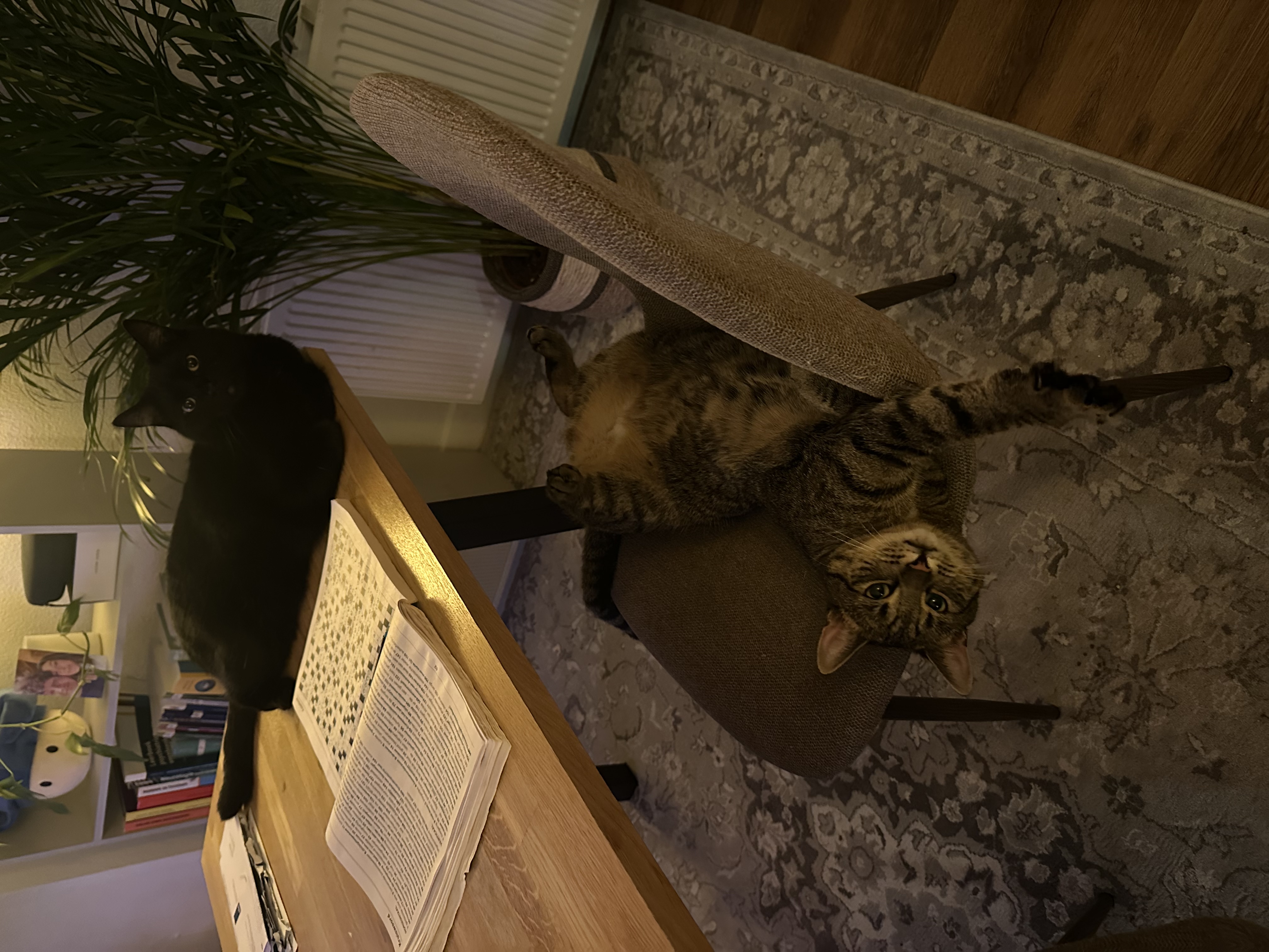 image-15