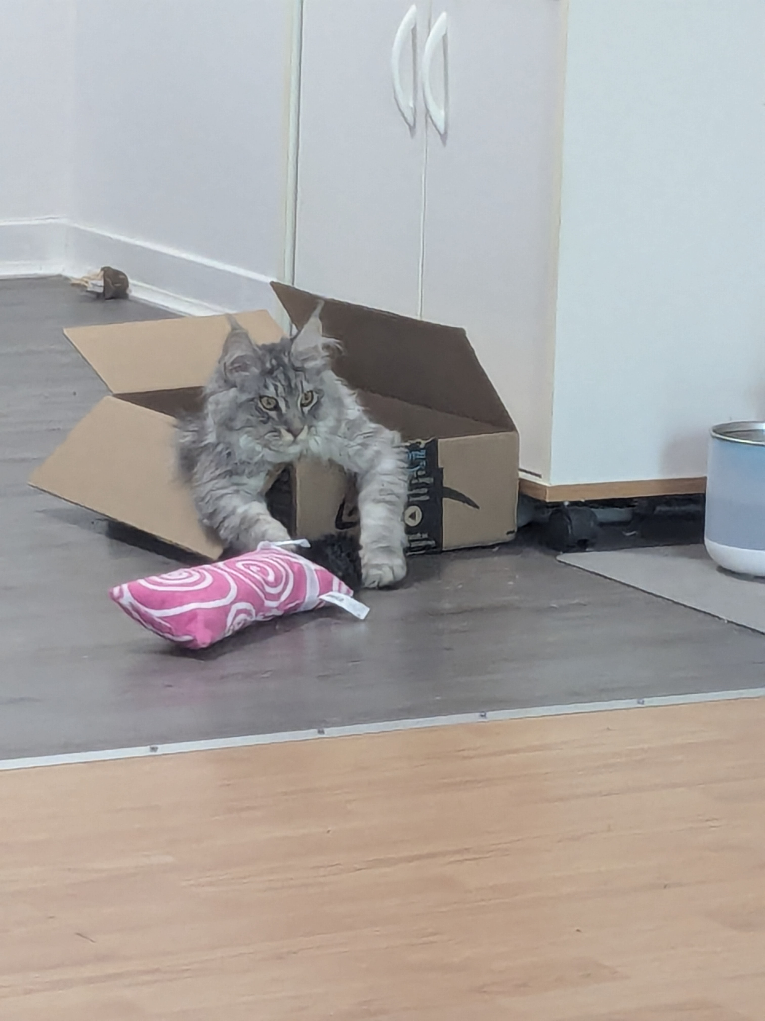 image-16