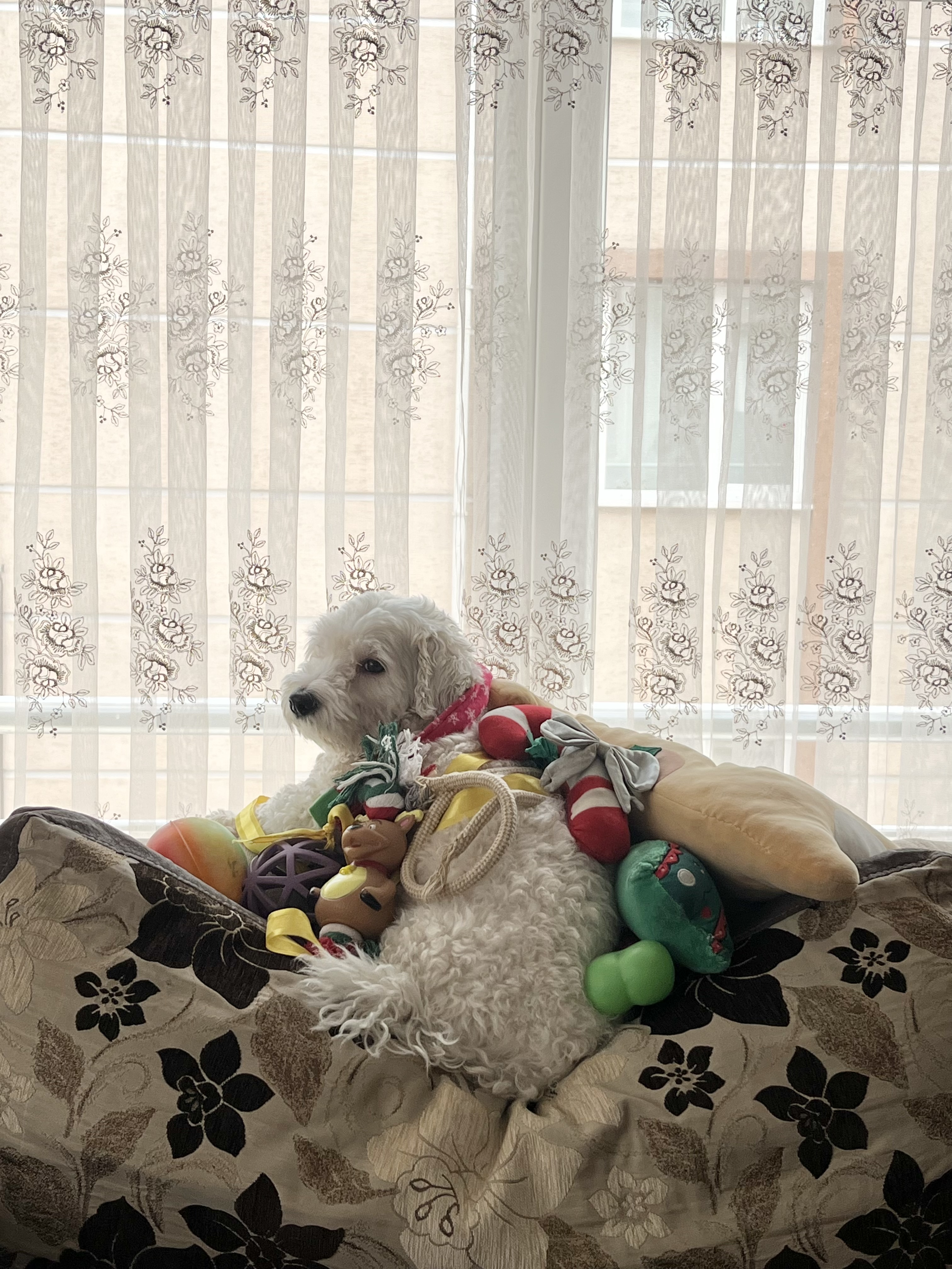 image-11