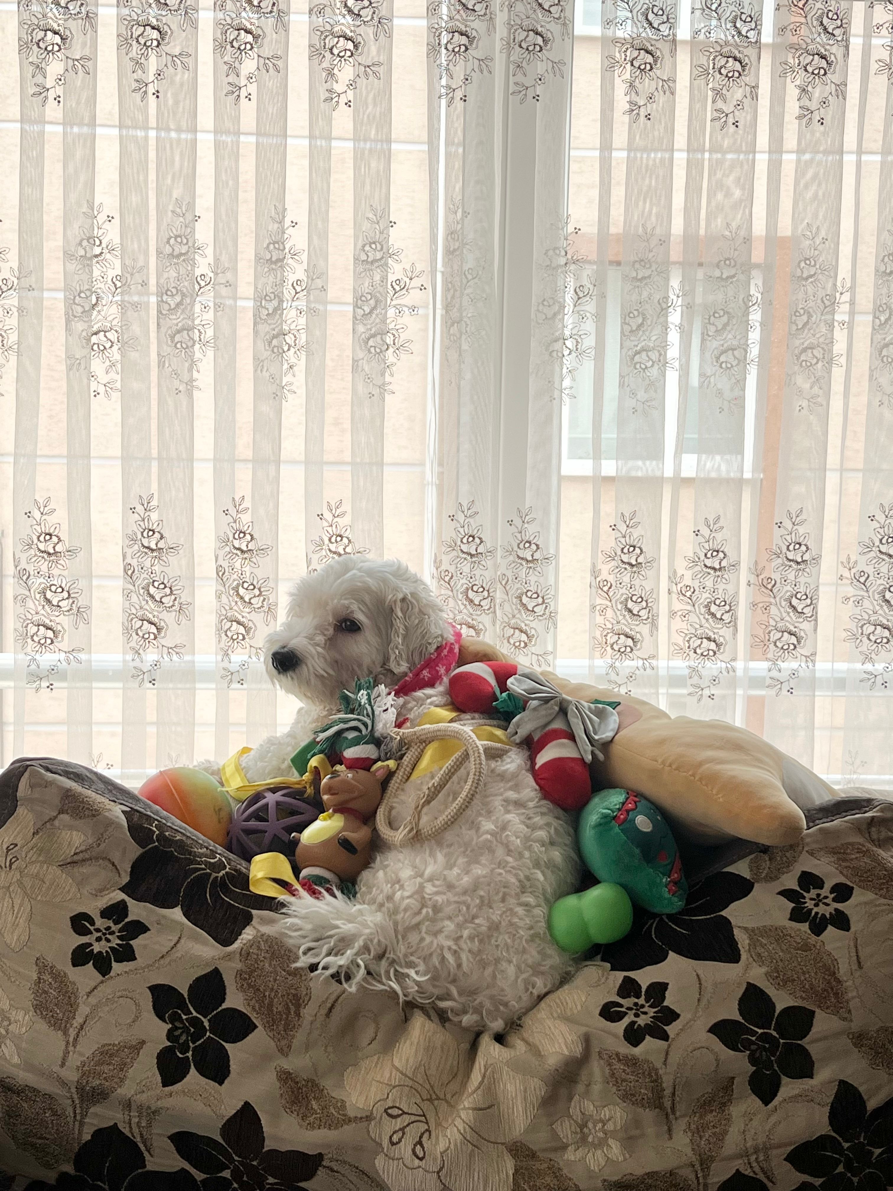 image-11