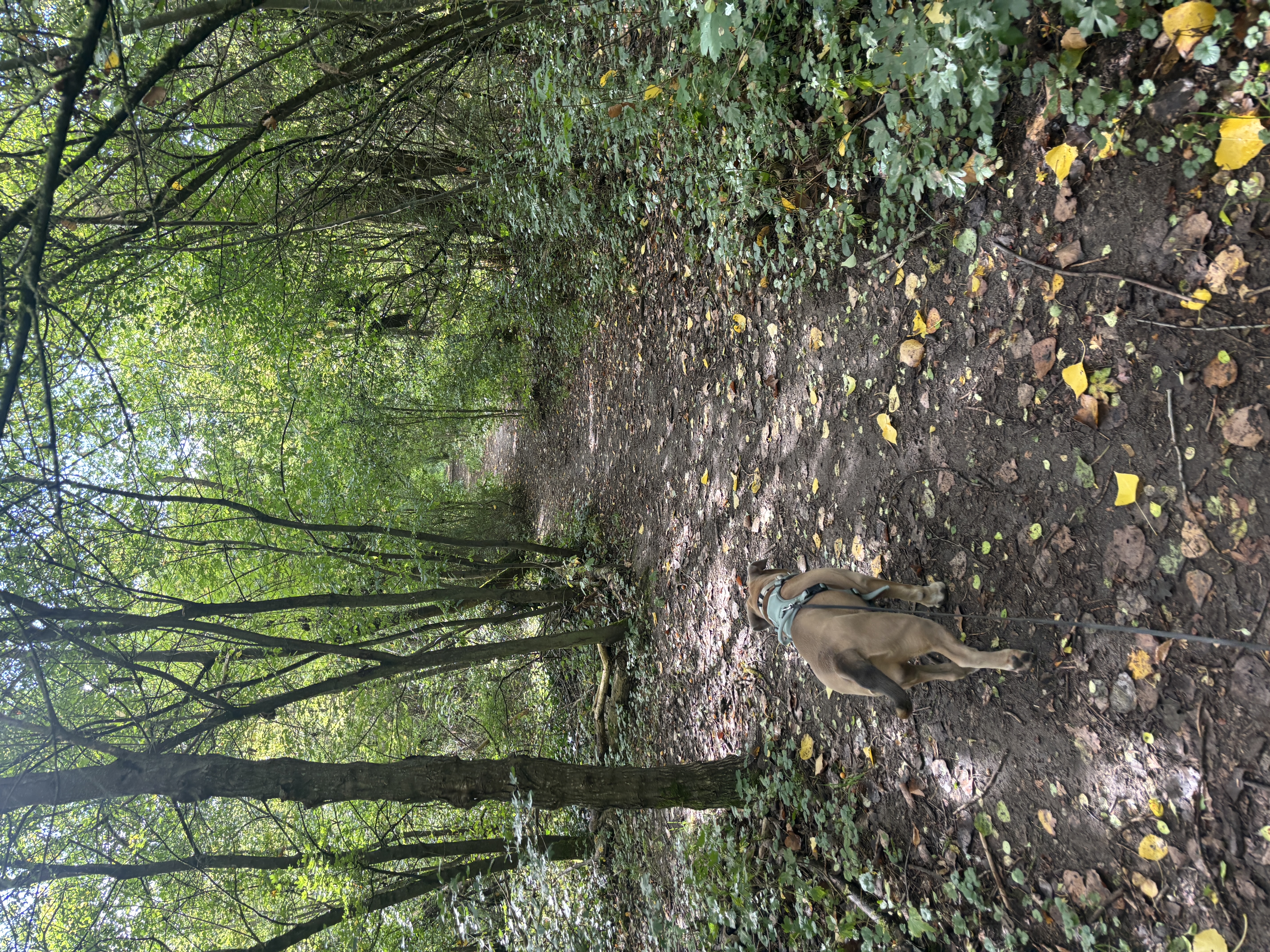 image-16