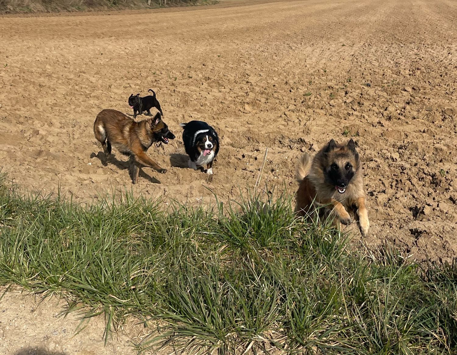 image-5