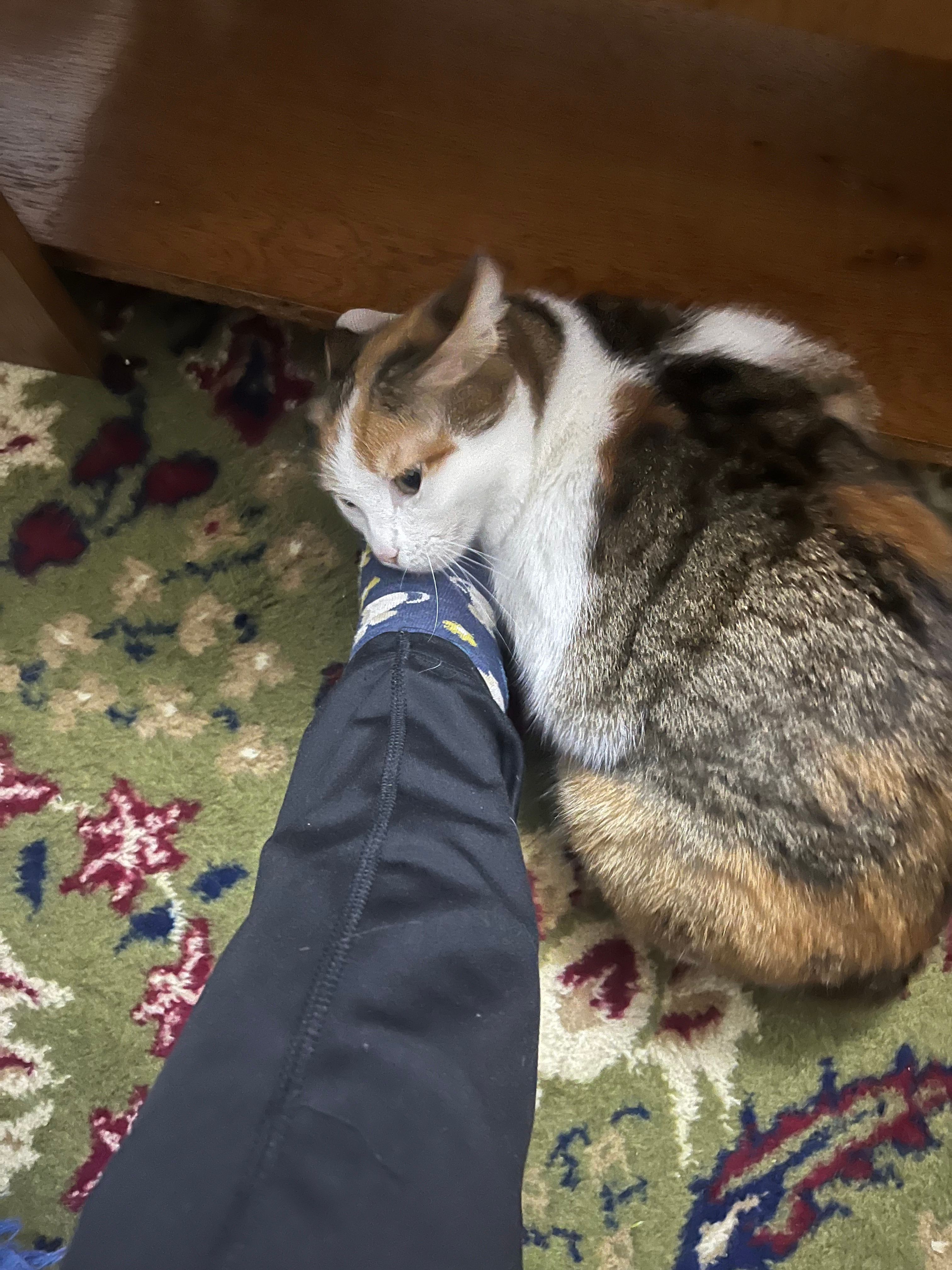 image-7