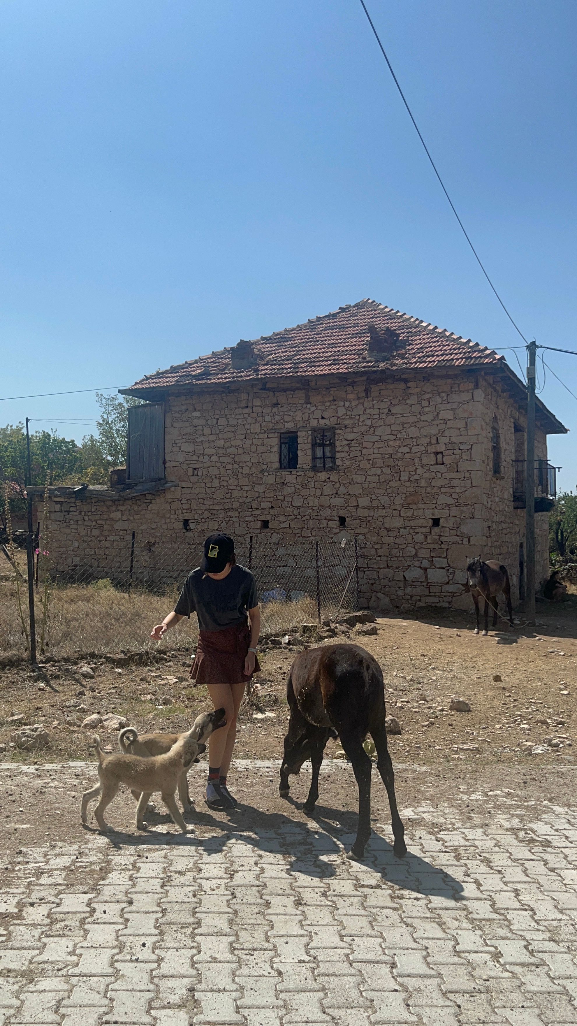 image-6