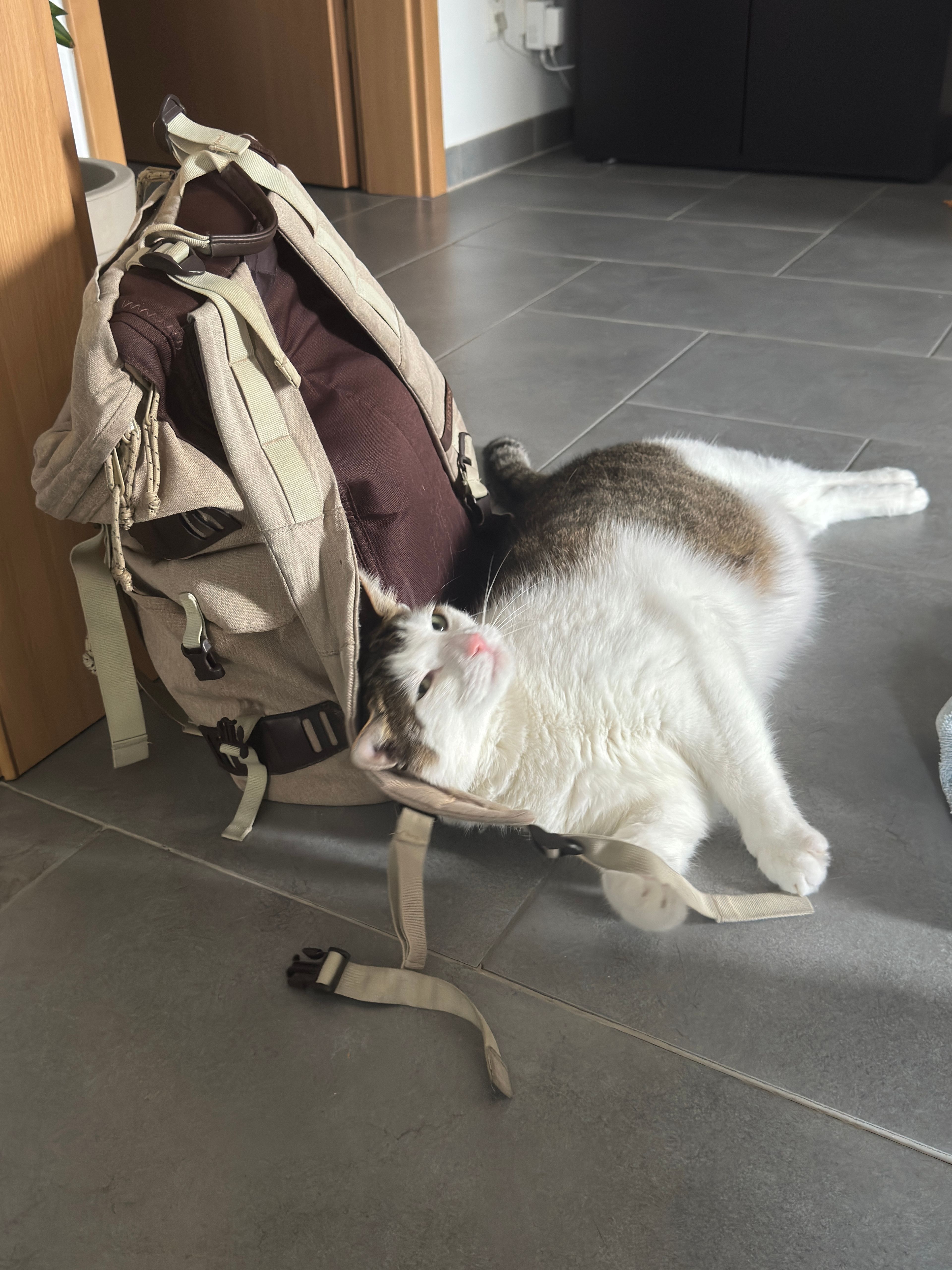 image-6