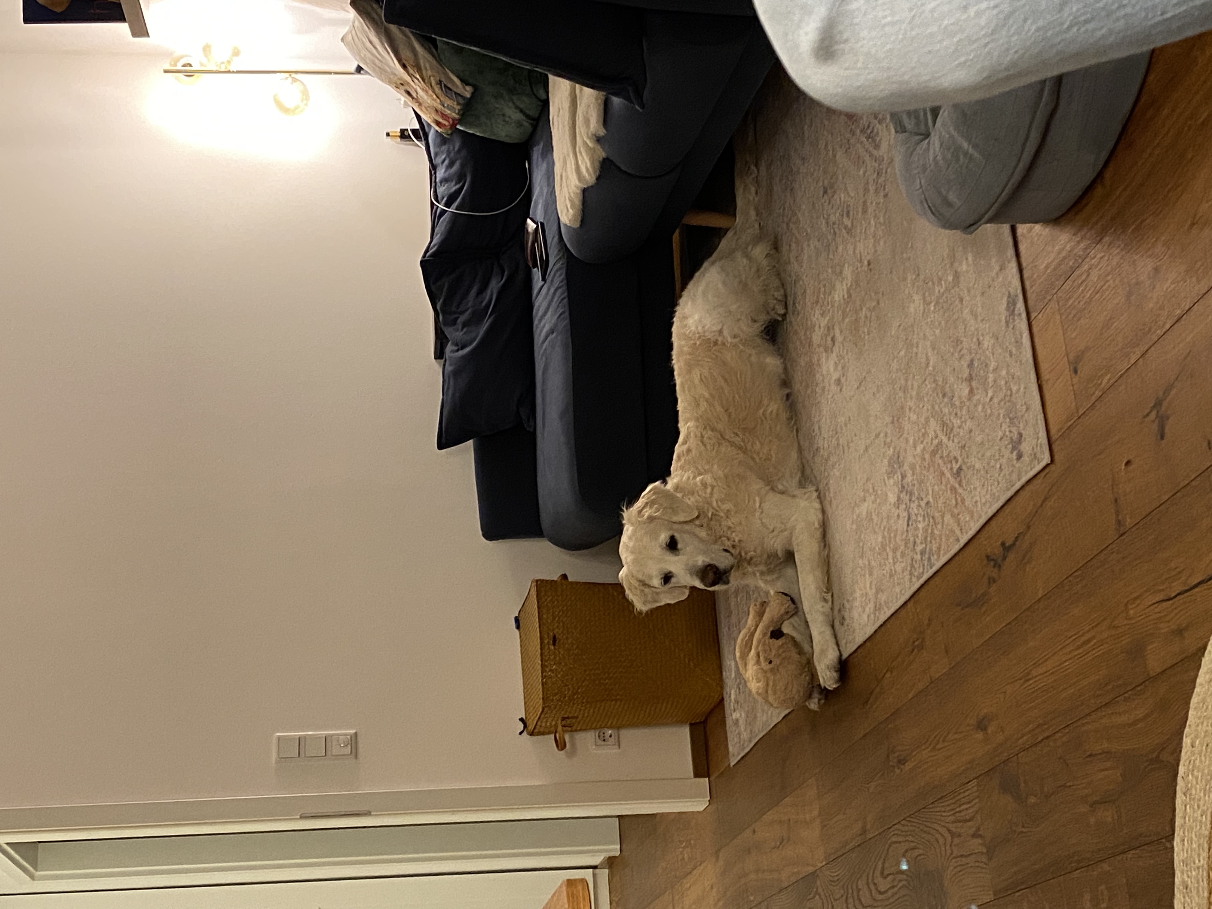 image-11