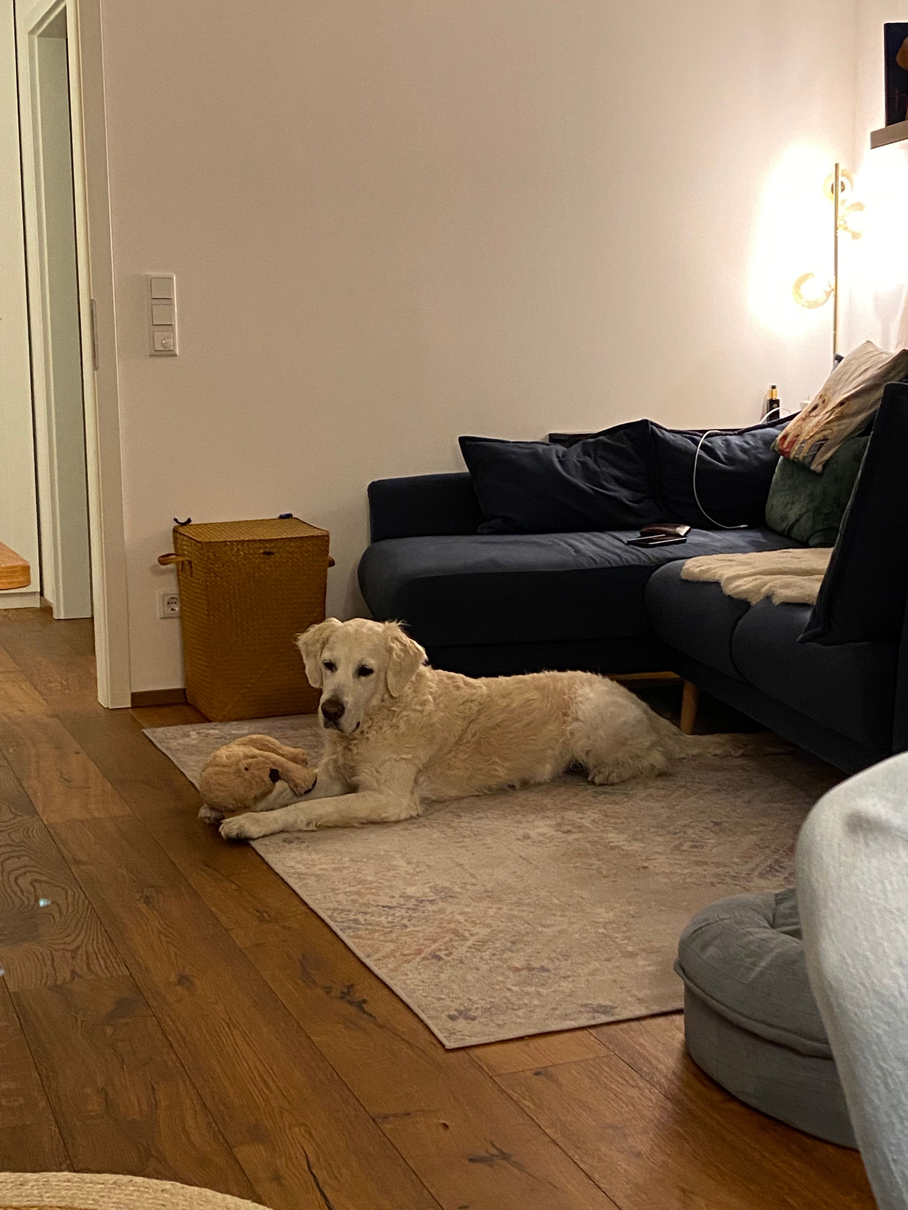 image-11