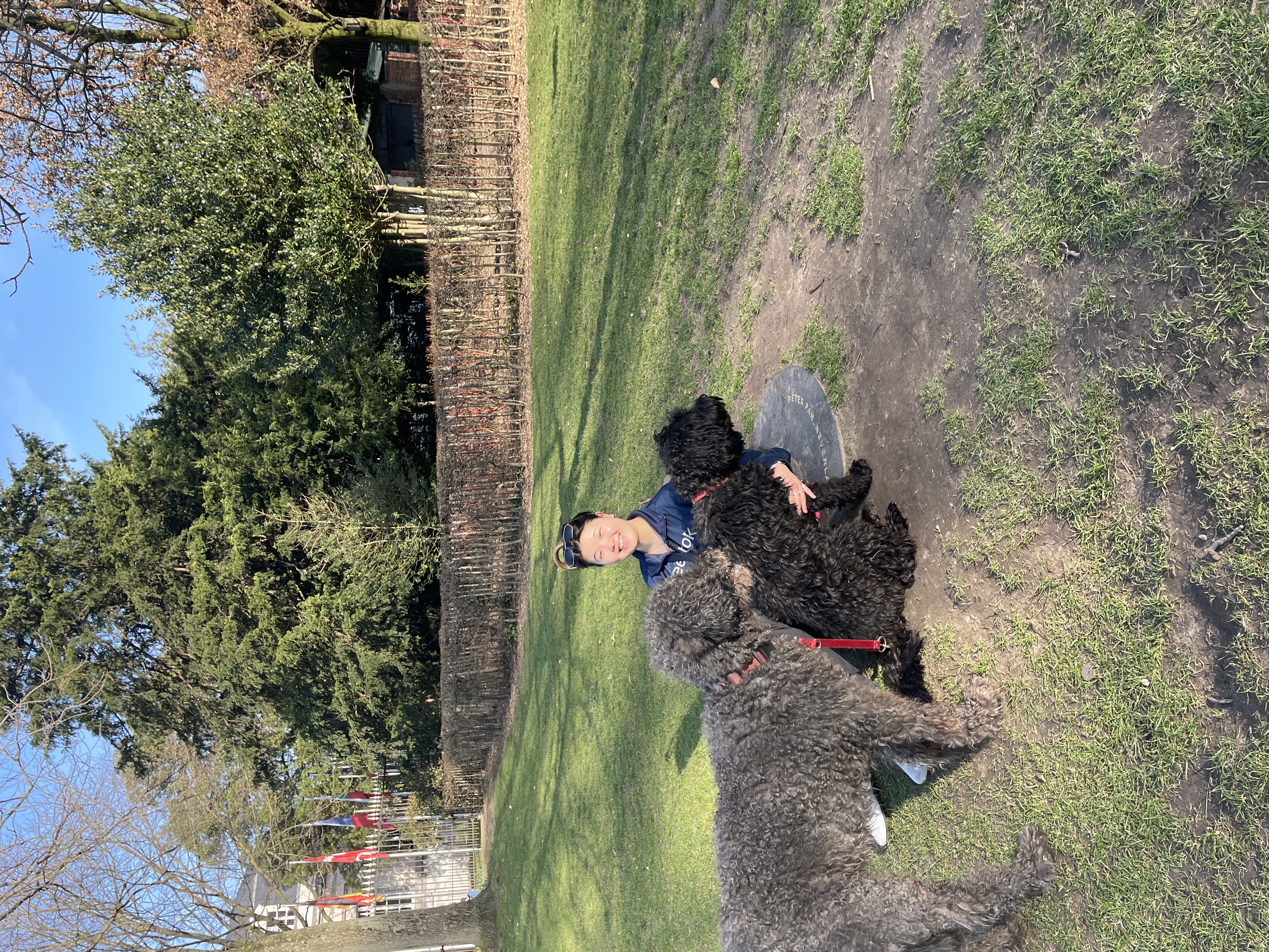 image-4