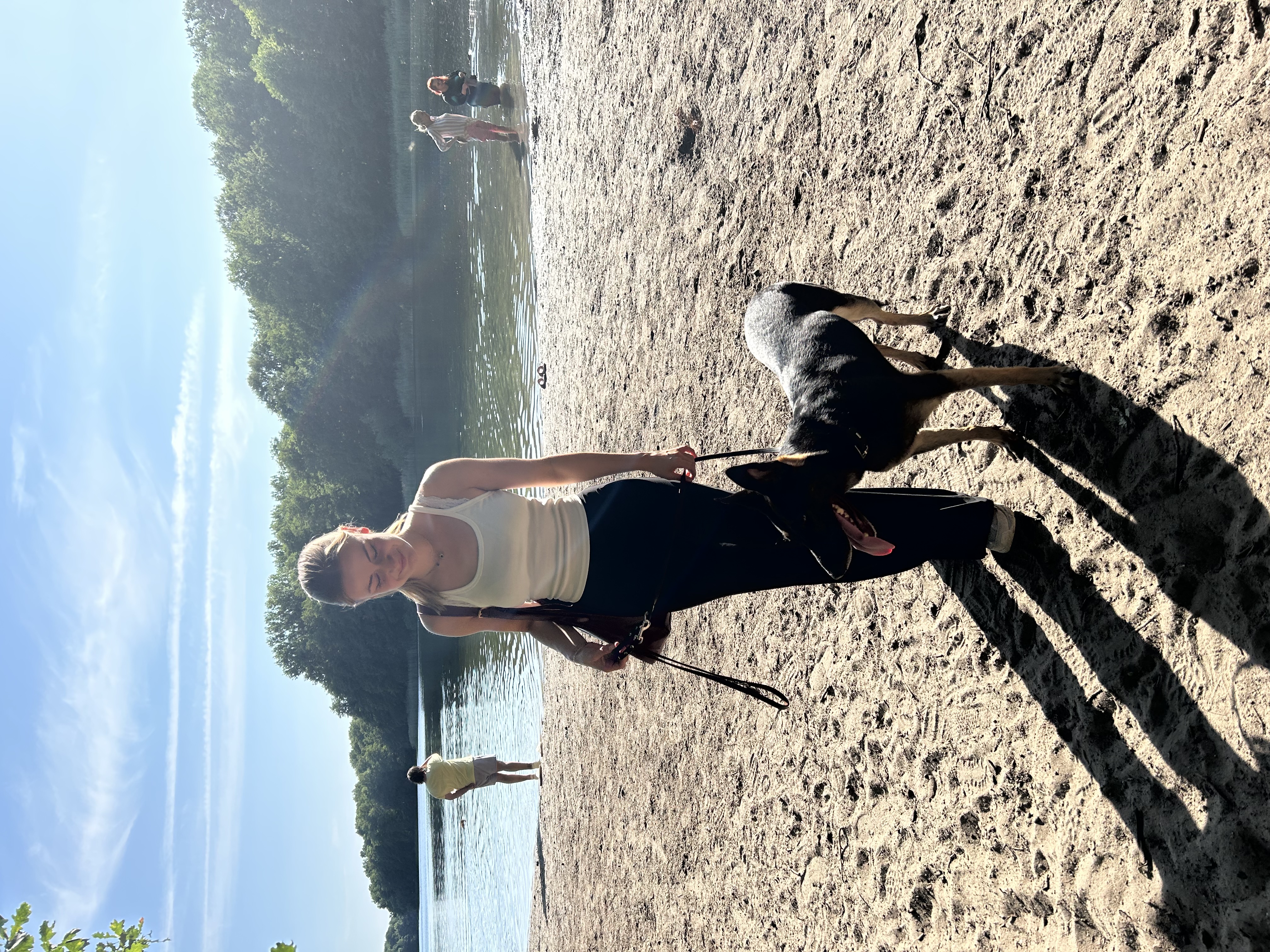 image-13