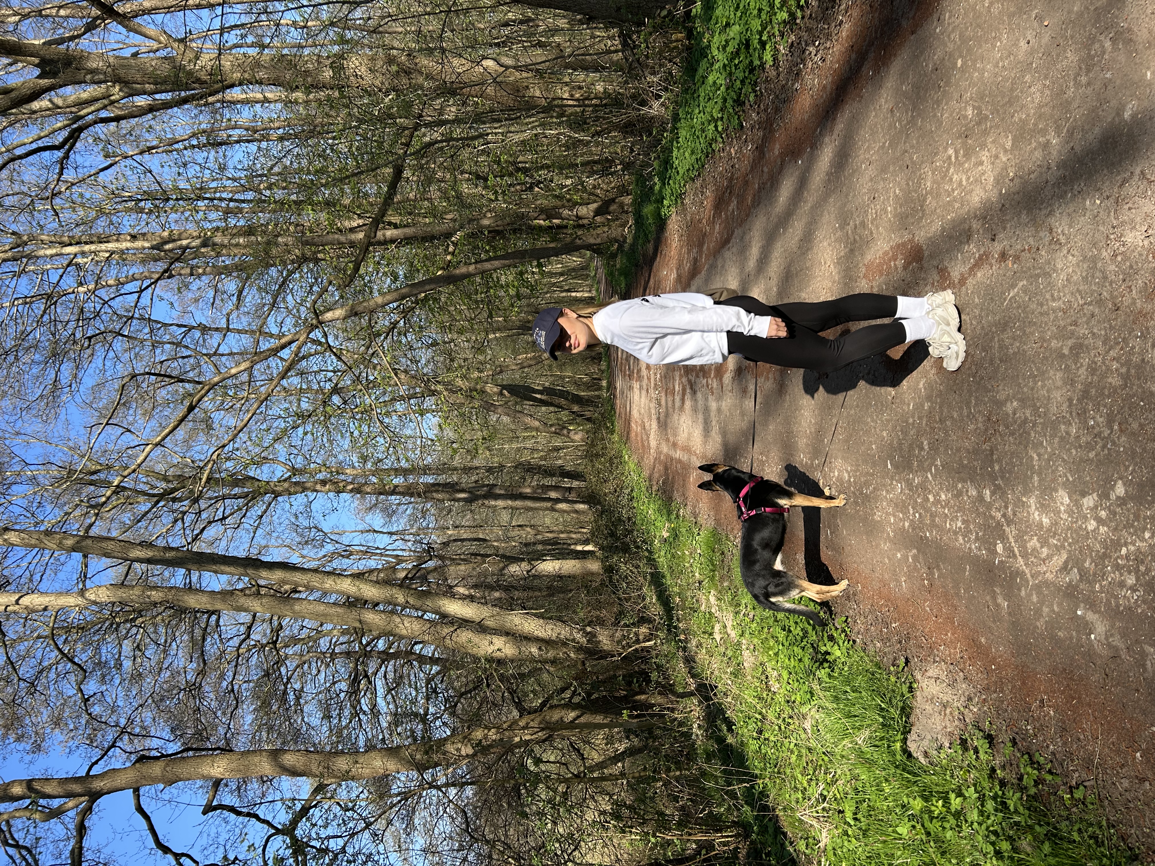 image-0