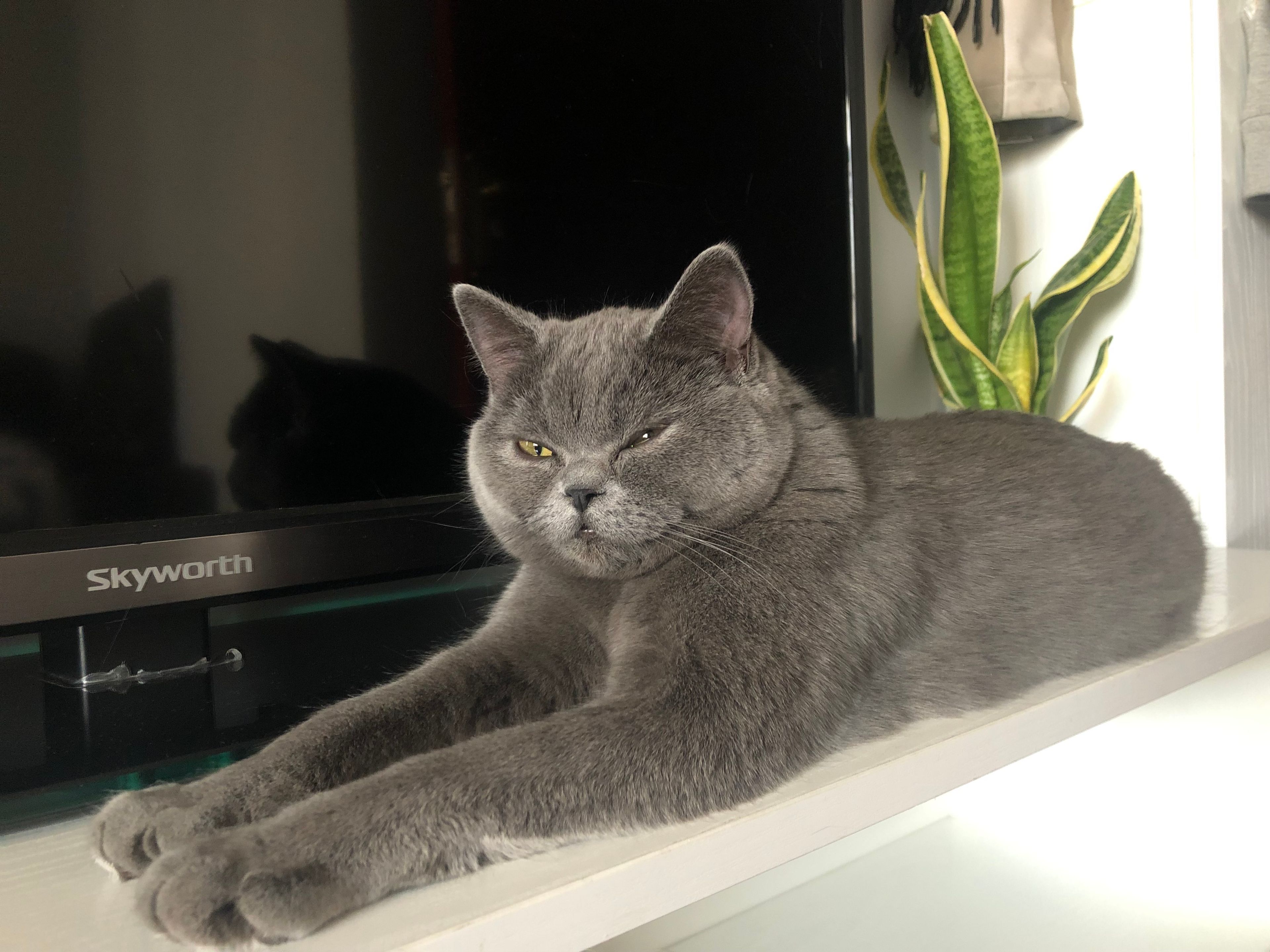 image-7
