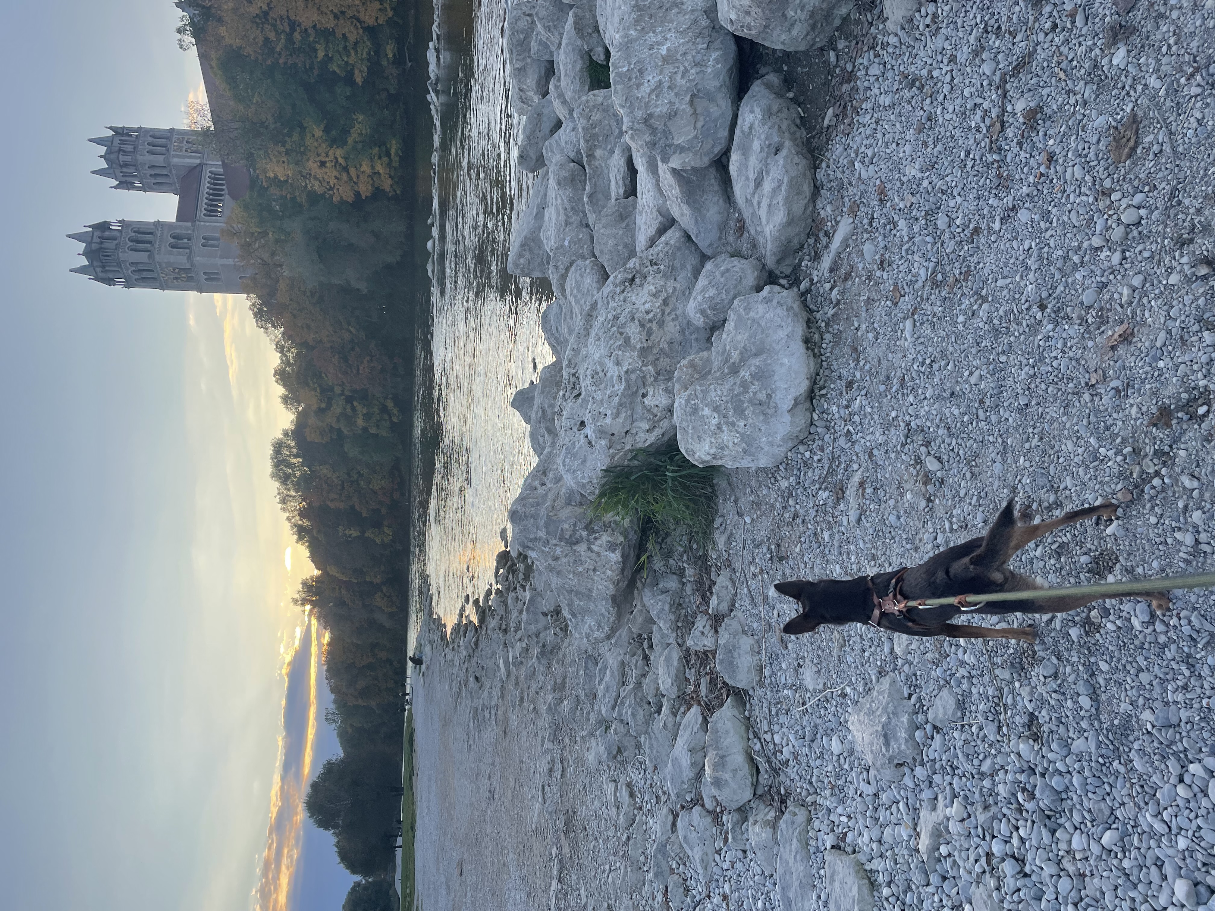 image-4