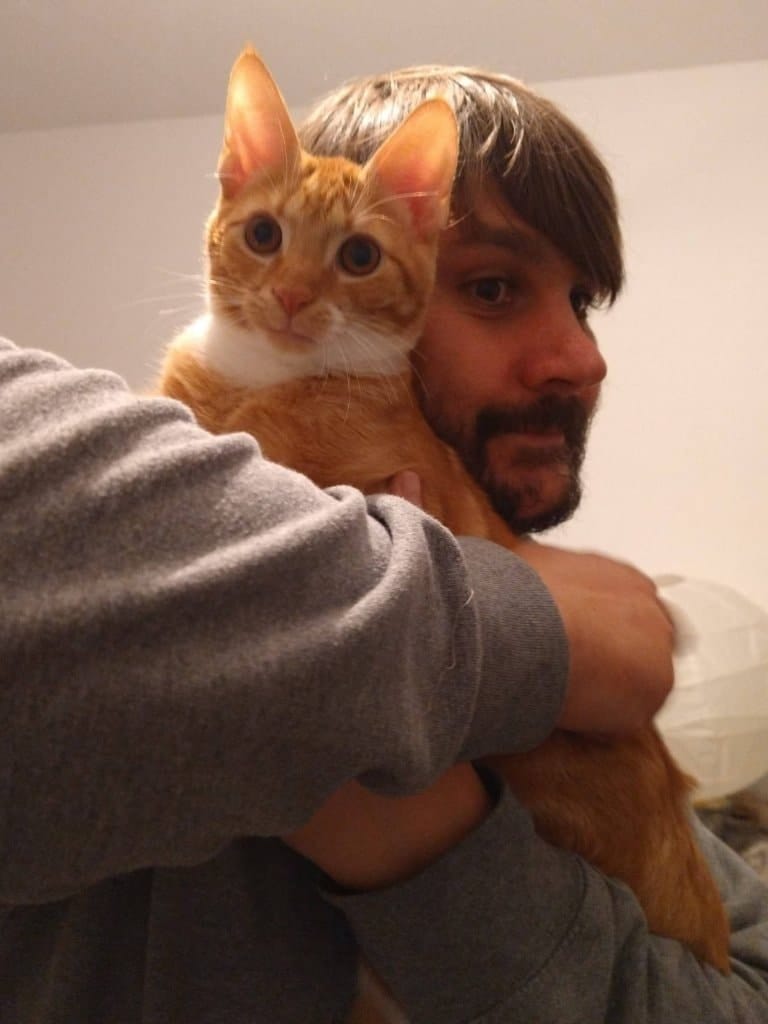 image-8