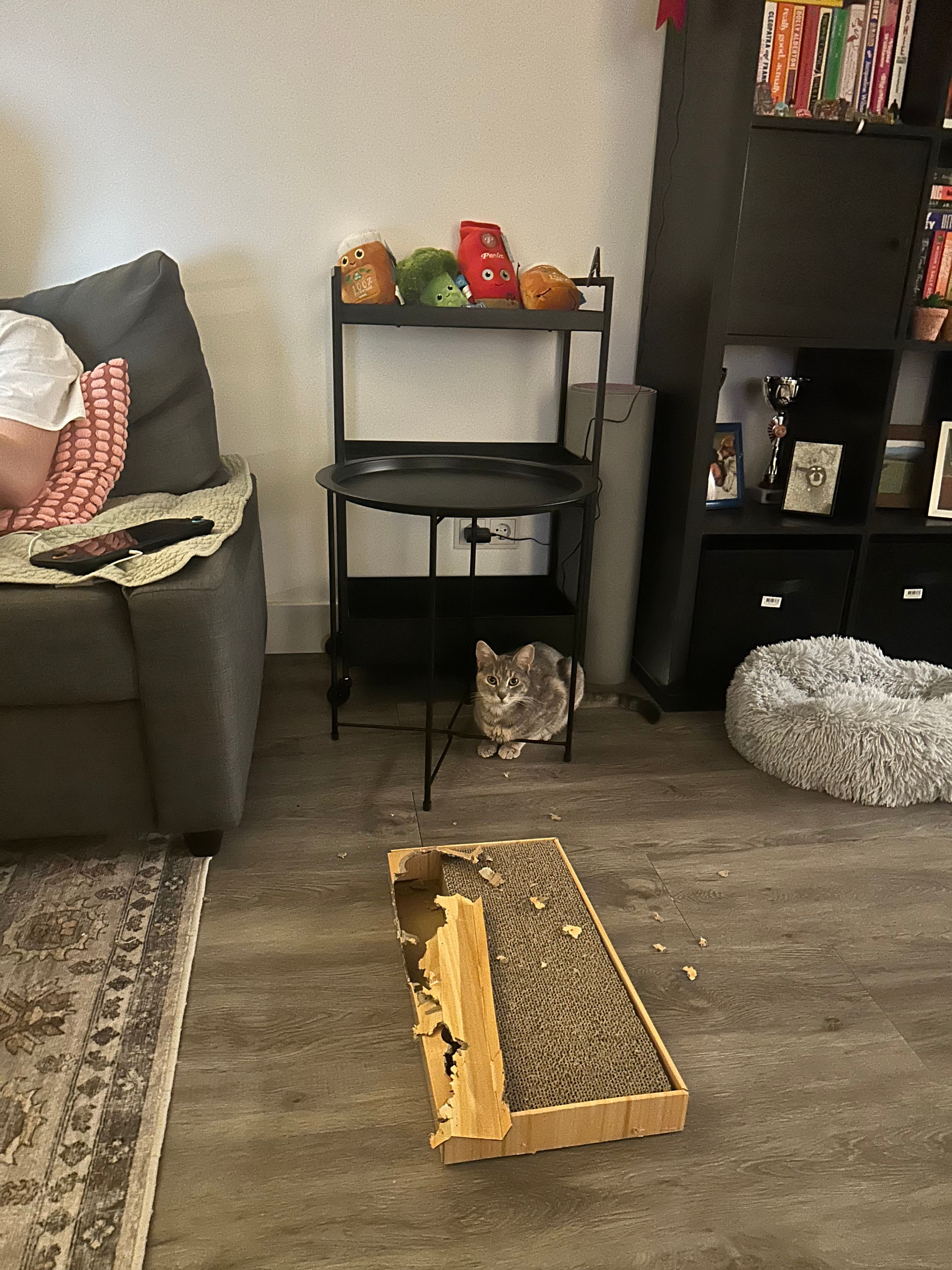image-18