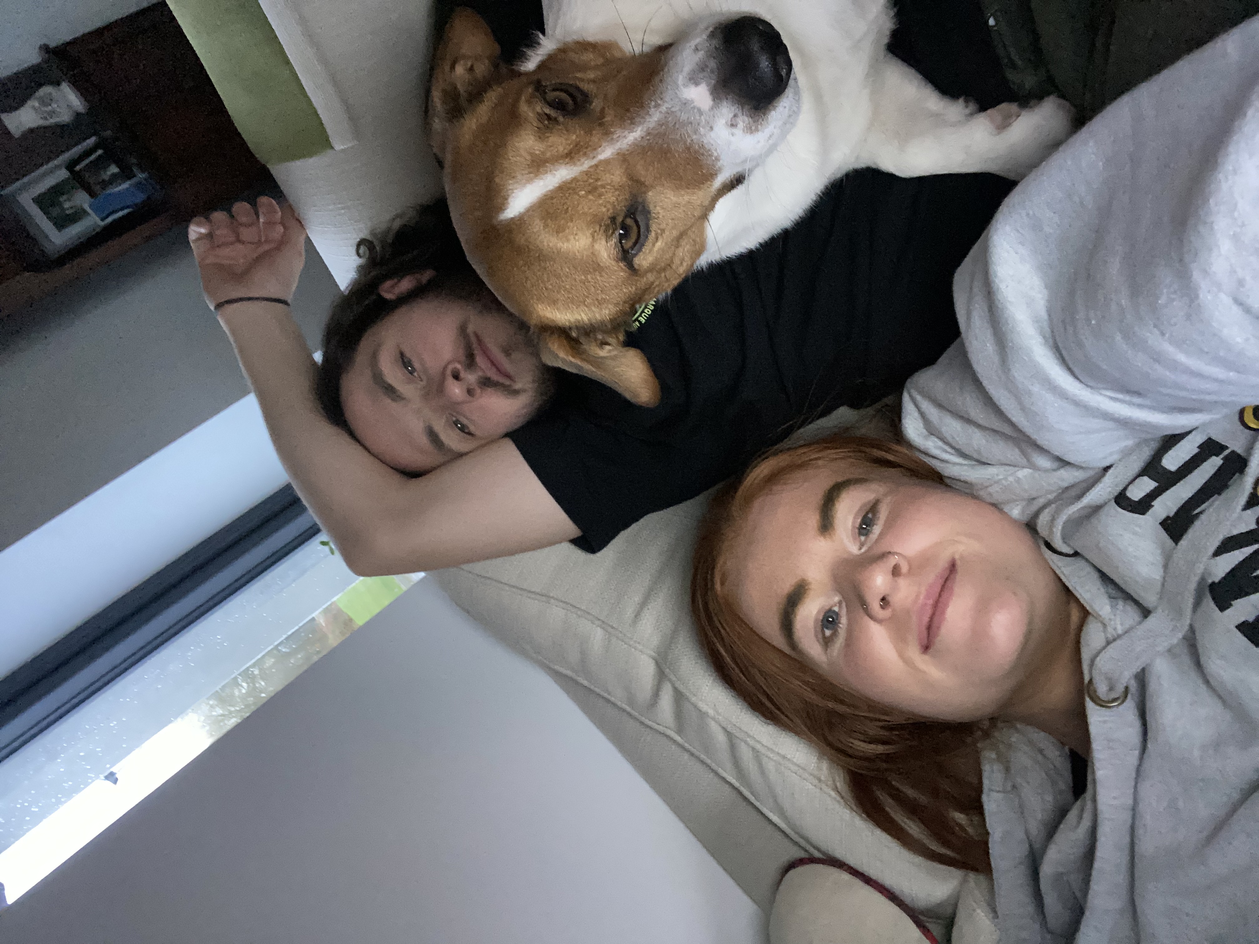 image-7