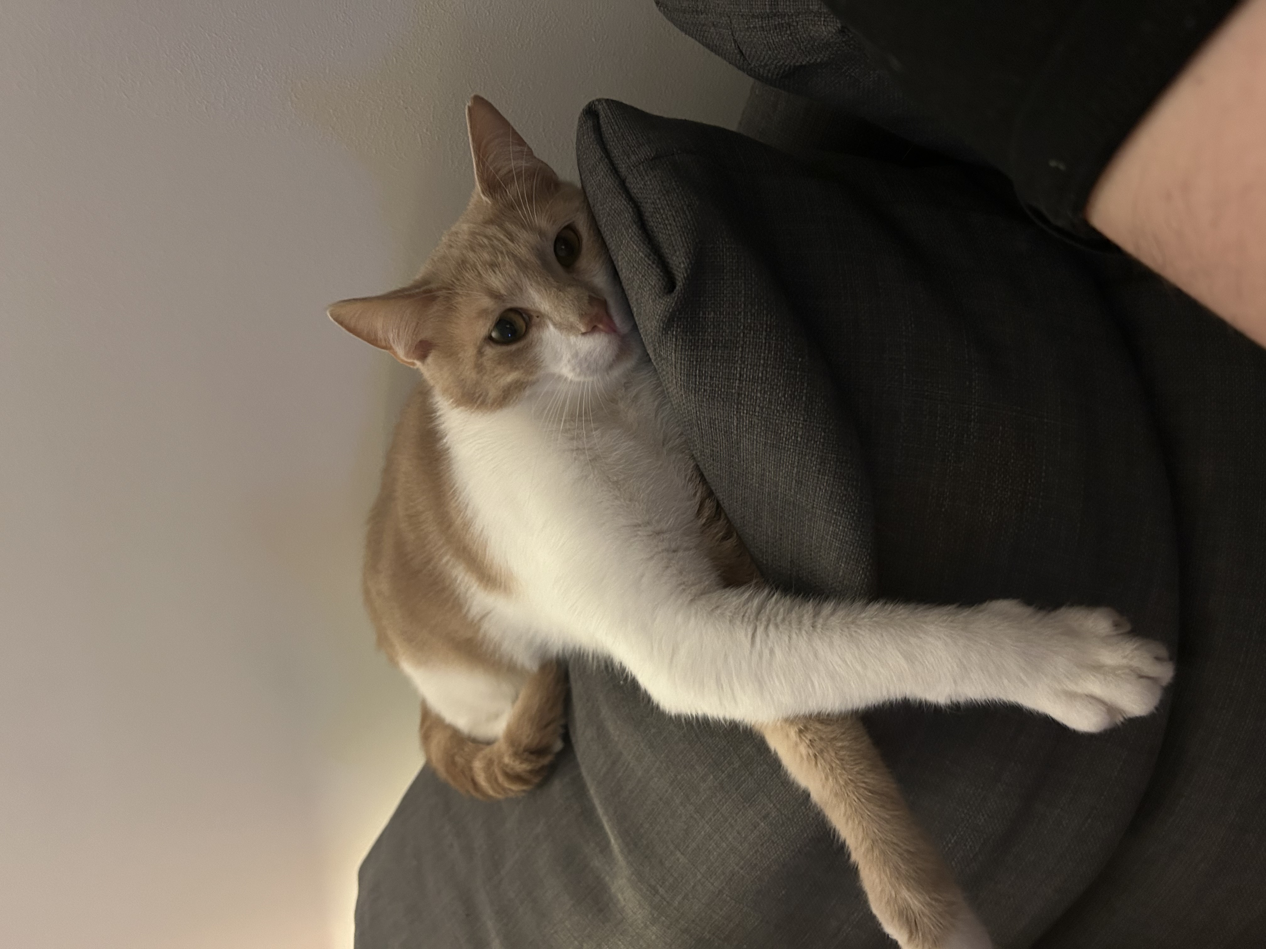 image-10