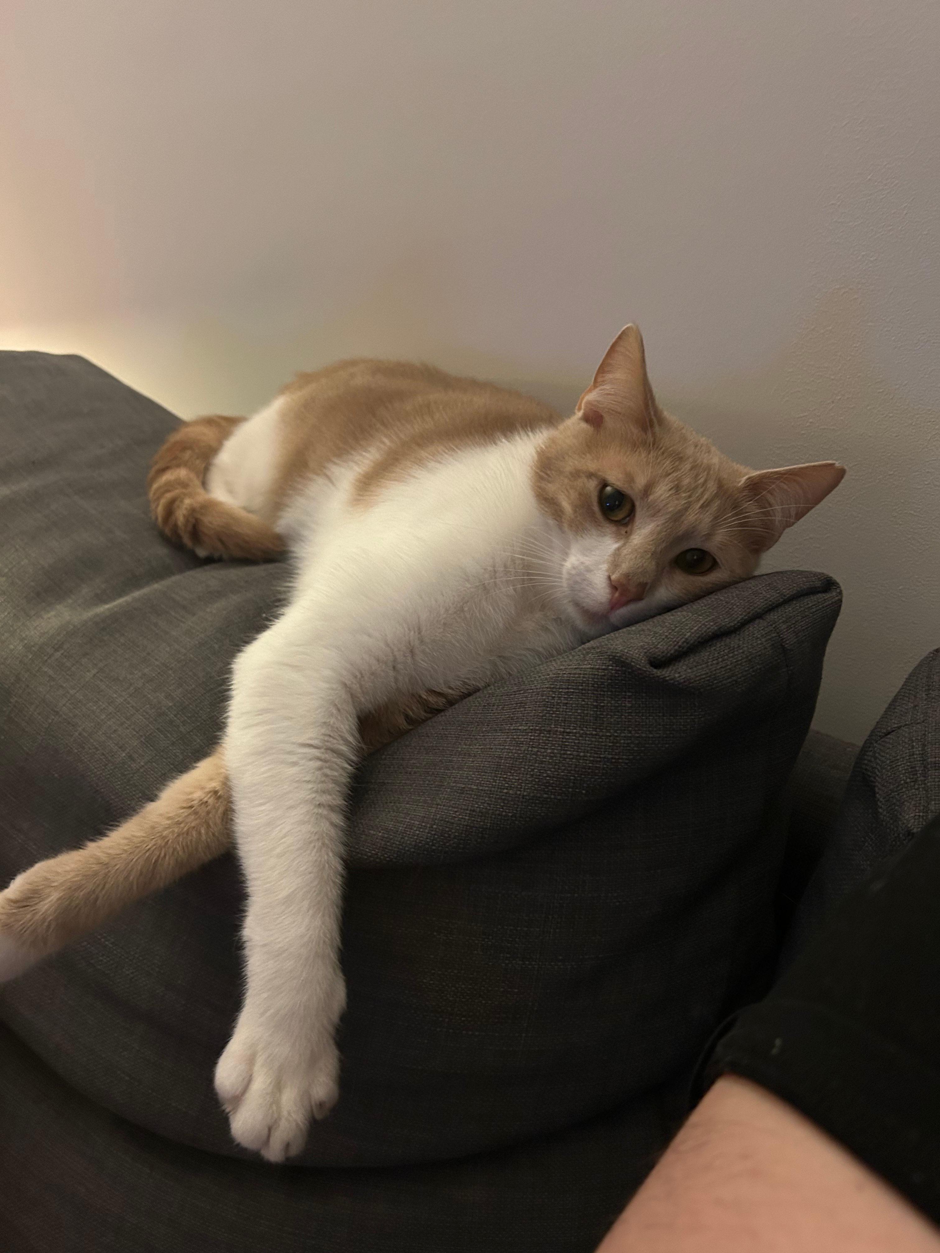 image-10