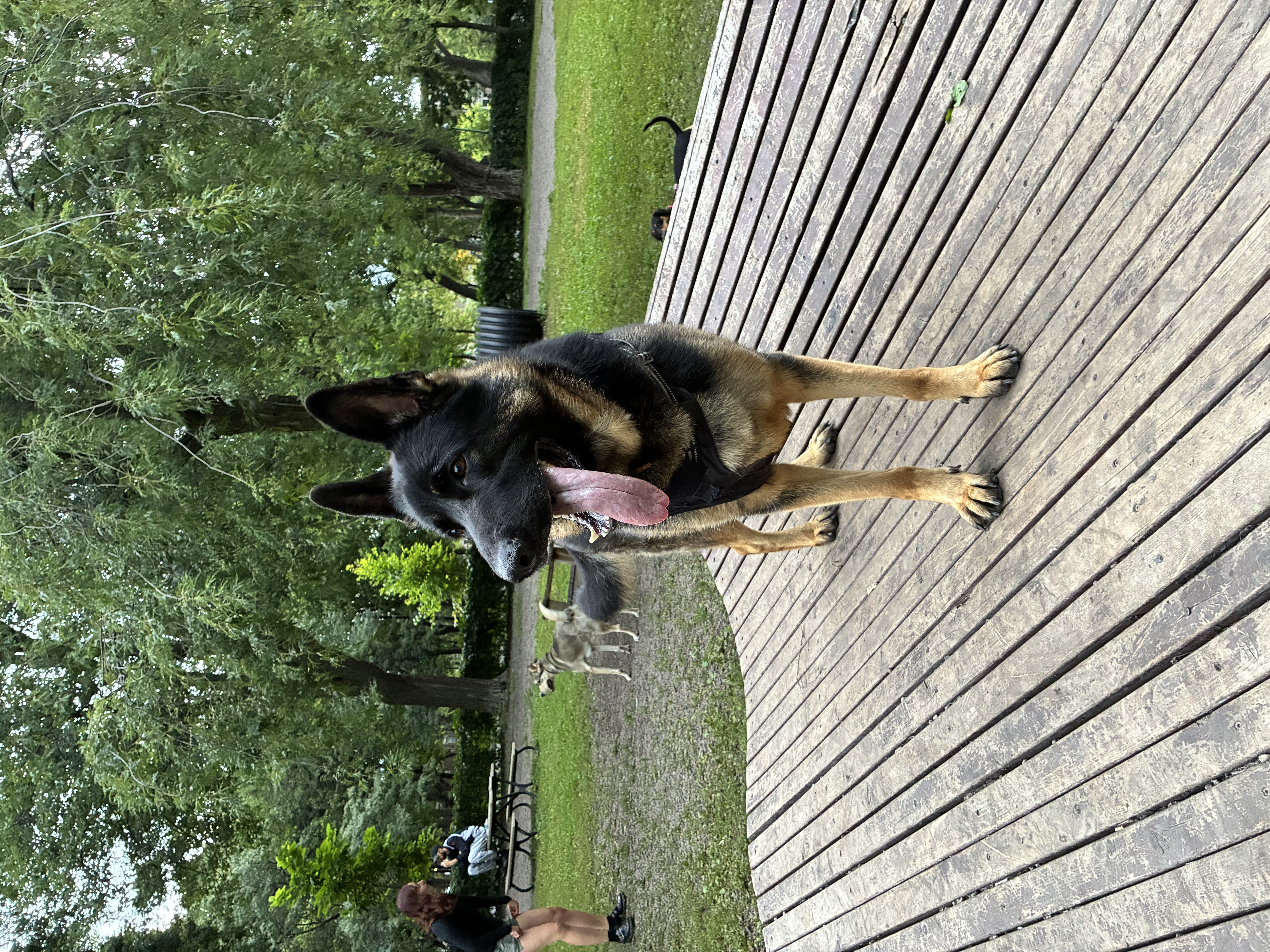 image-34